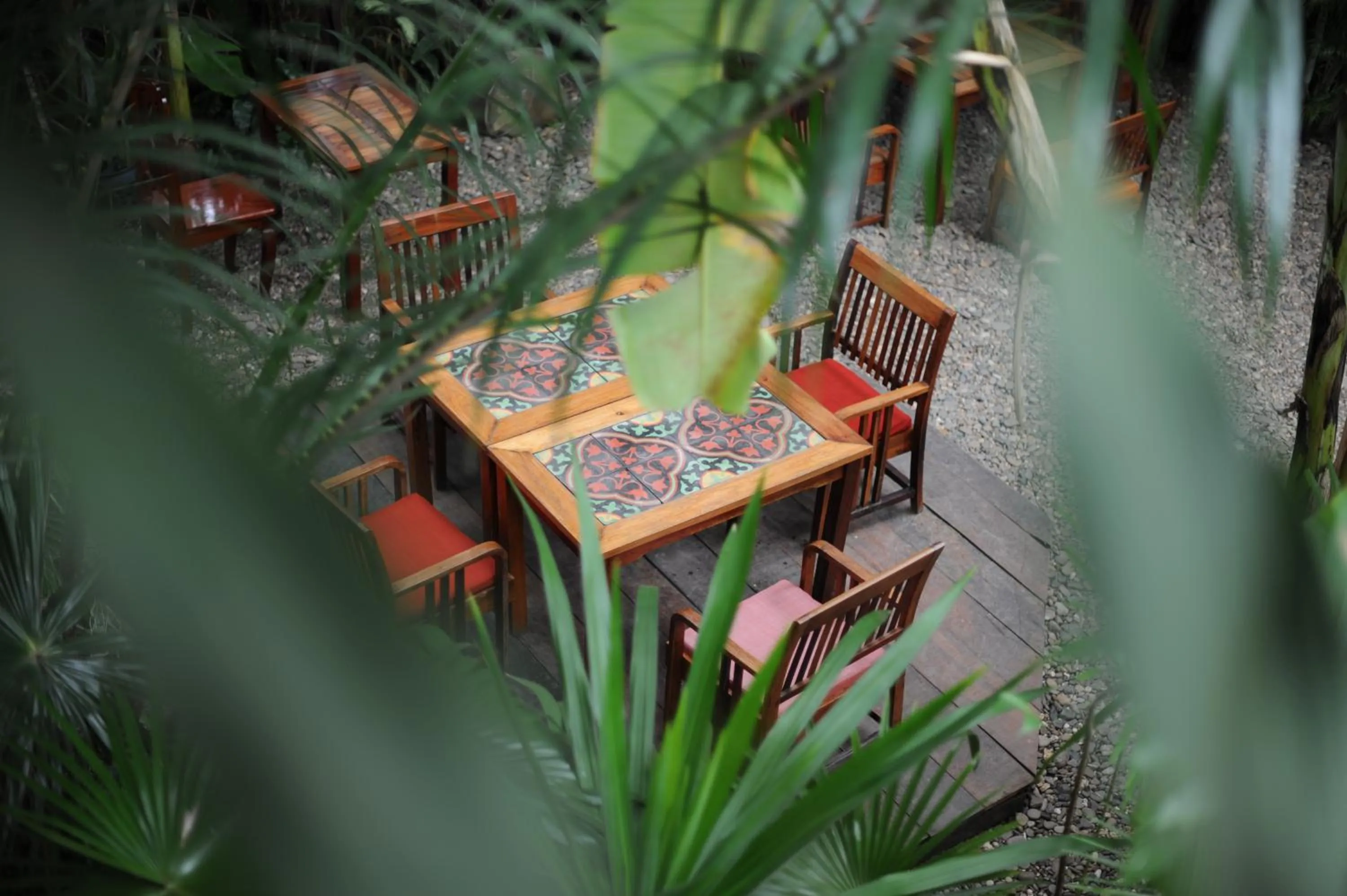 Garden view in Lotus Villa