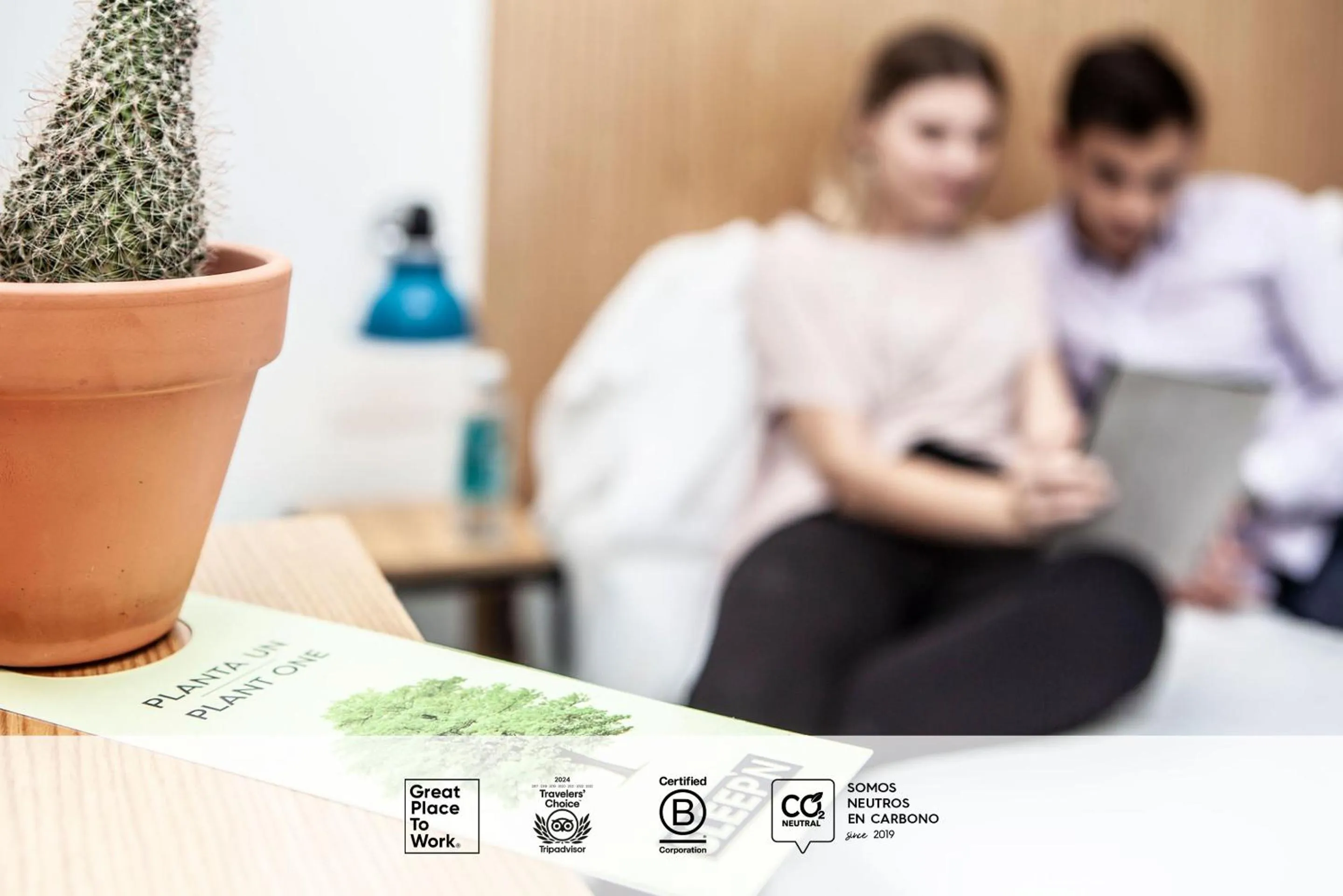 Decorative detail in SLEEP'N Atocha - B Corp Certified