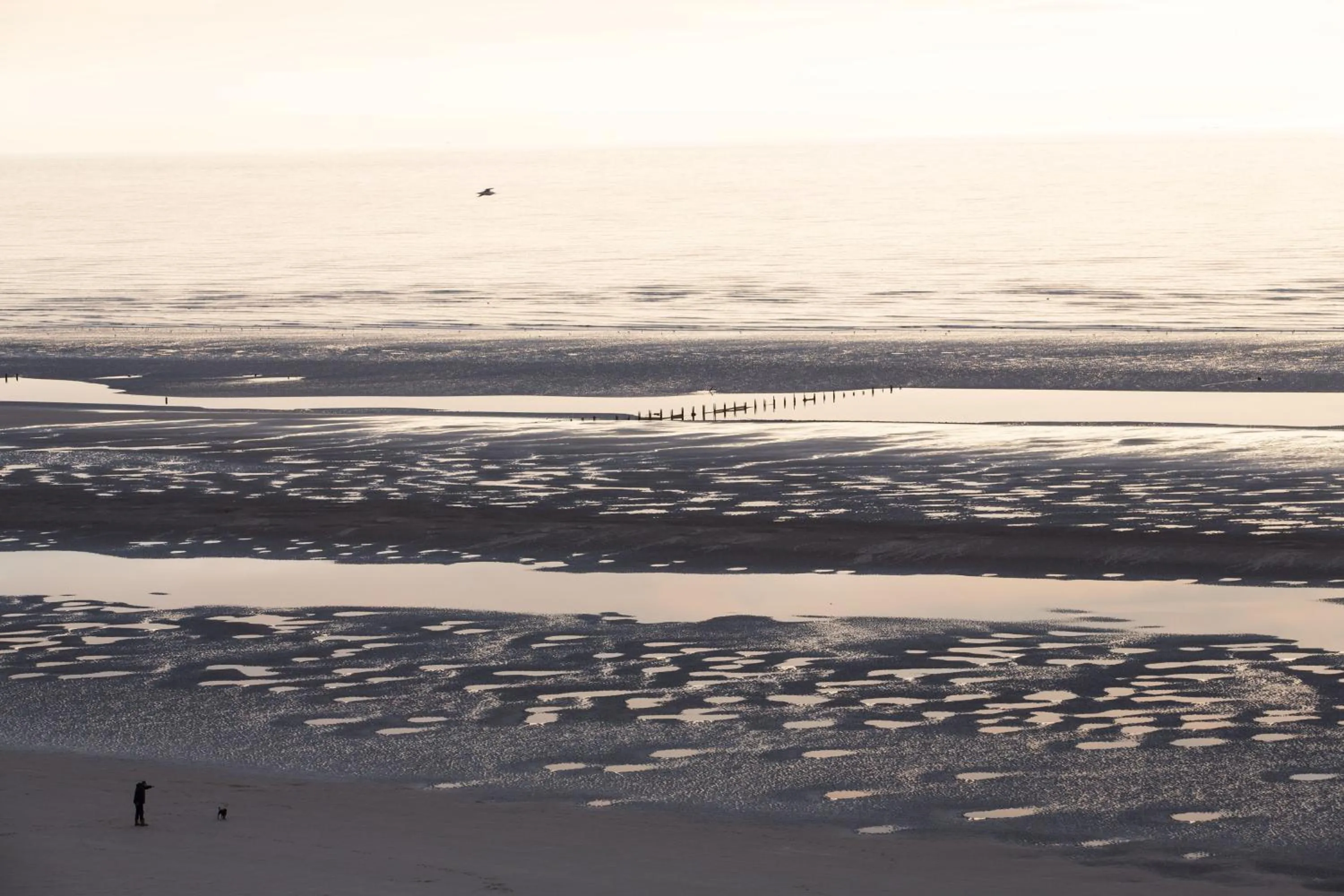Natural landscape in Hotel Sheraton