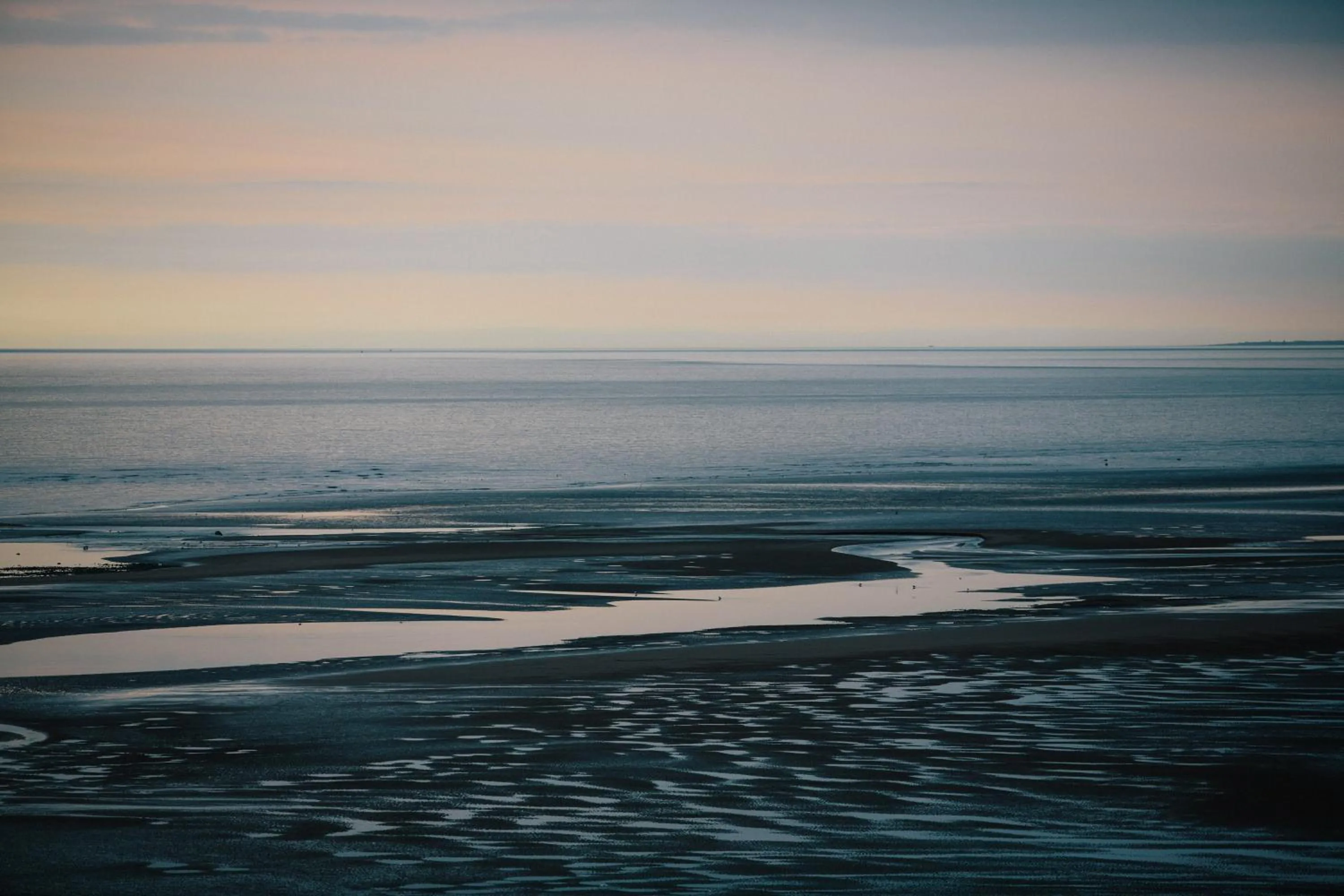 Natural landscape in Hotel Sheraton