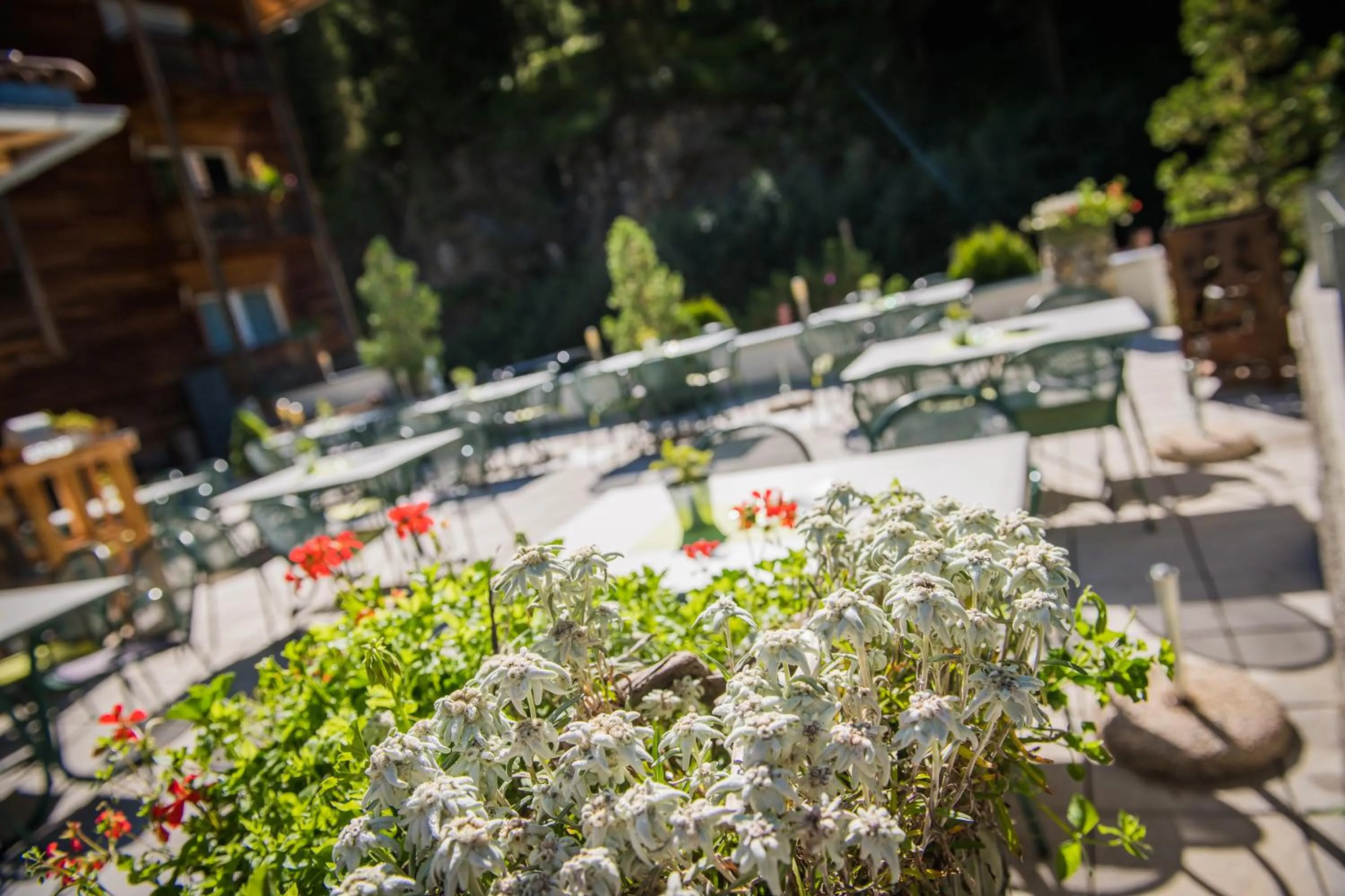 Restaurant/places to eat in Hotel zum See