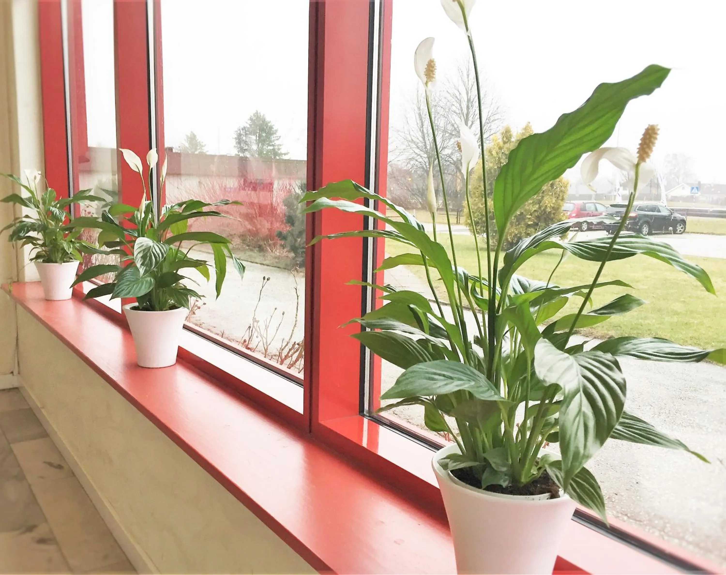 Lobby or reception in Hotell Vesterhavet