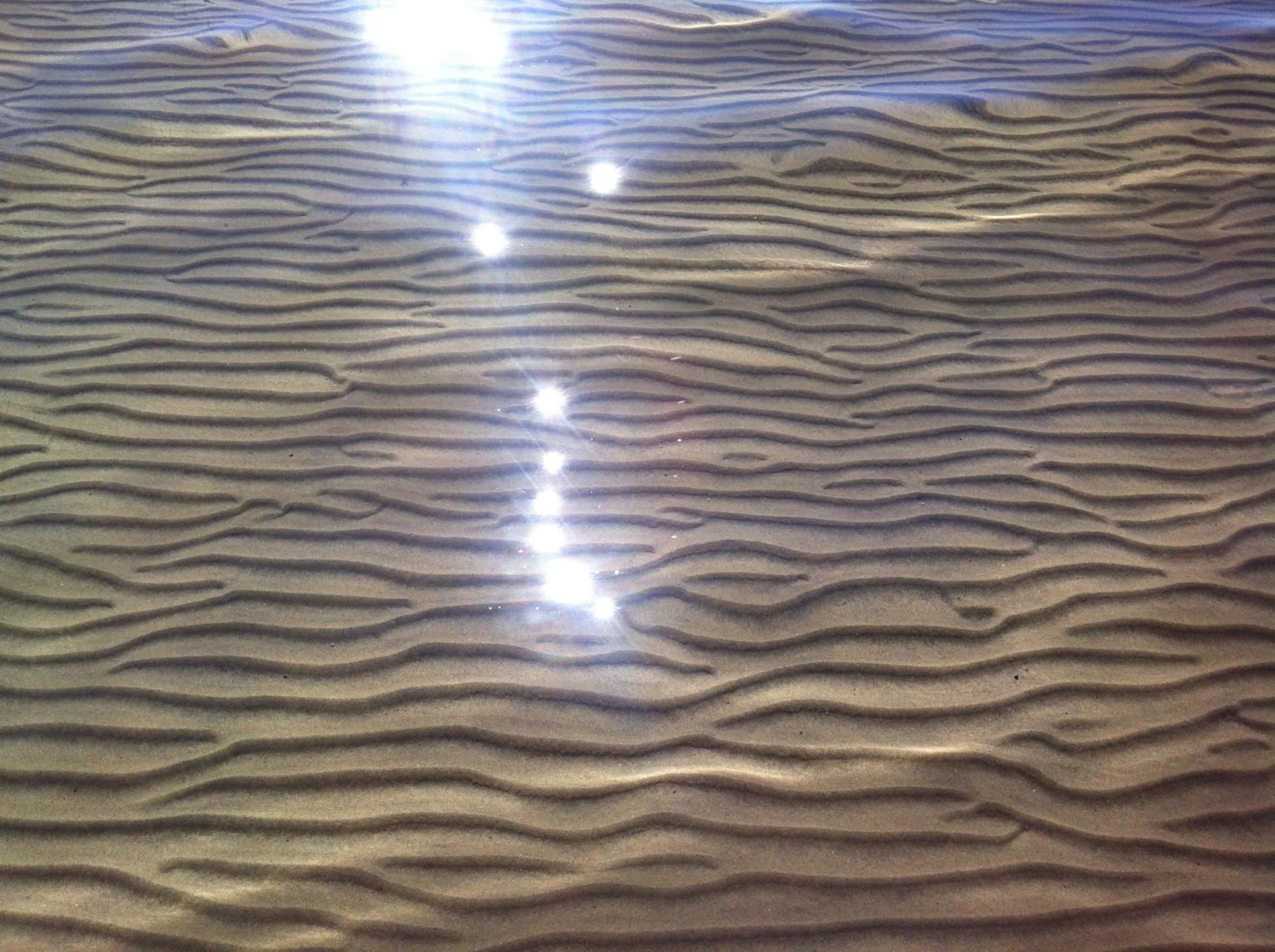 Beach in Hölick Havsresort & spa