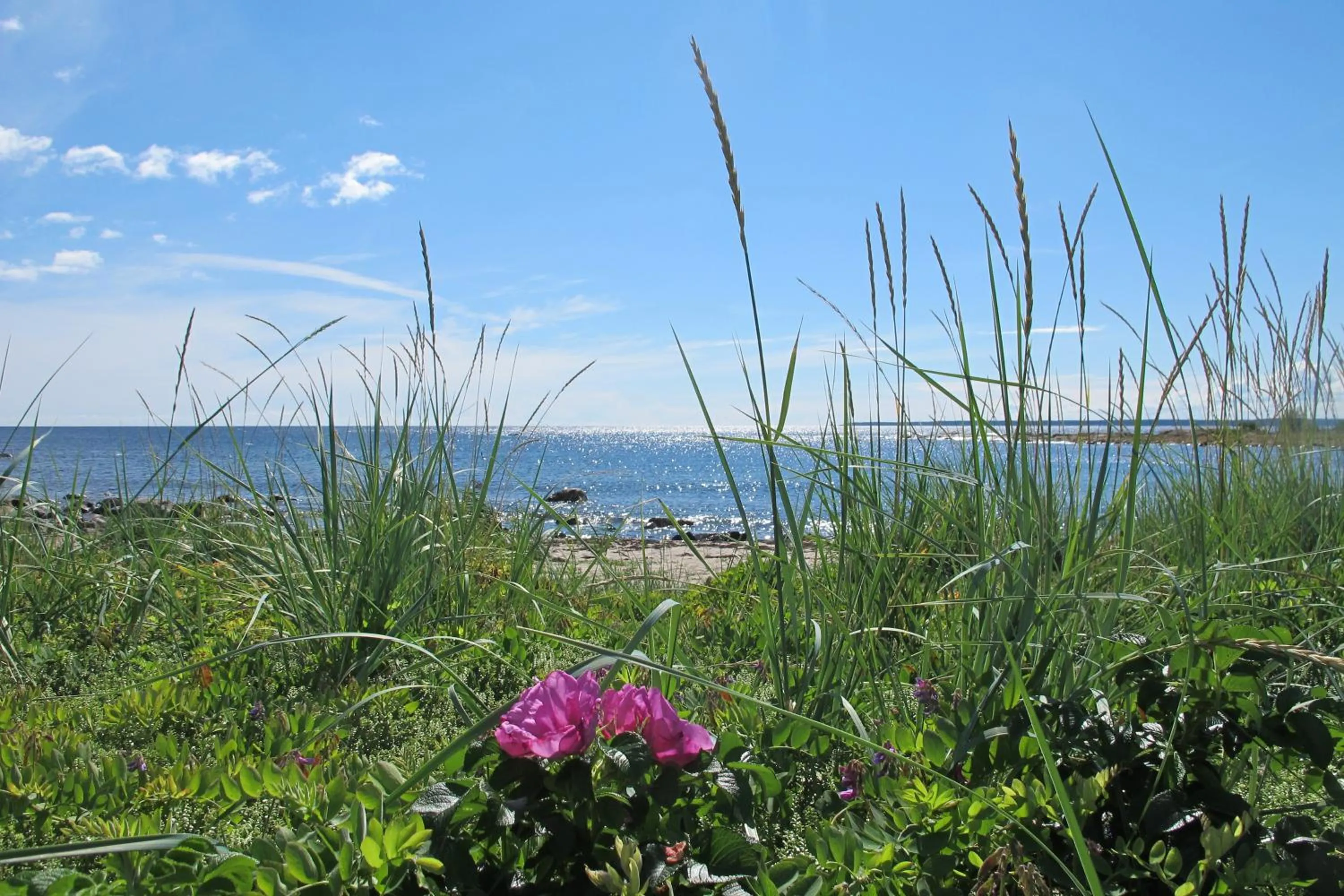 Sea view in Hölick Havsresort & spa