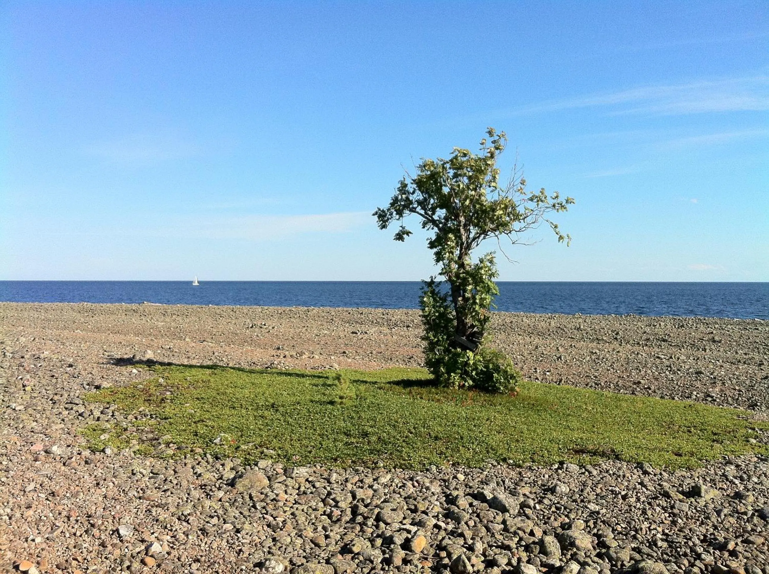 Natural landscape in Hölick Havsresort & spa