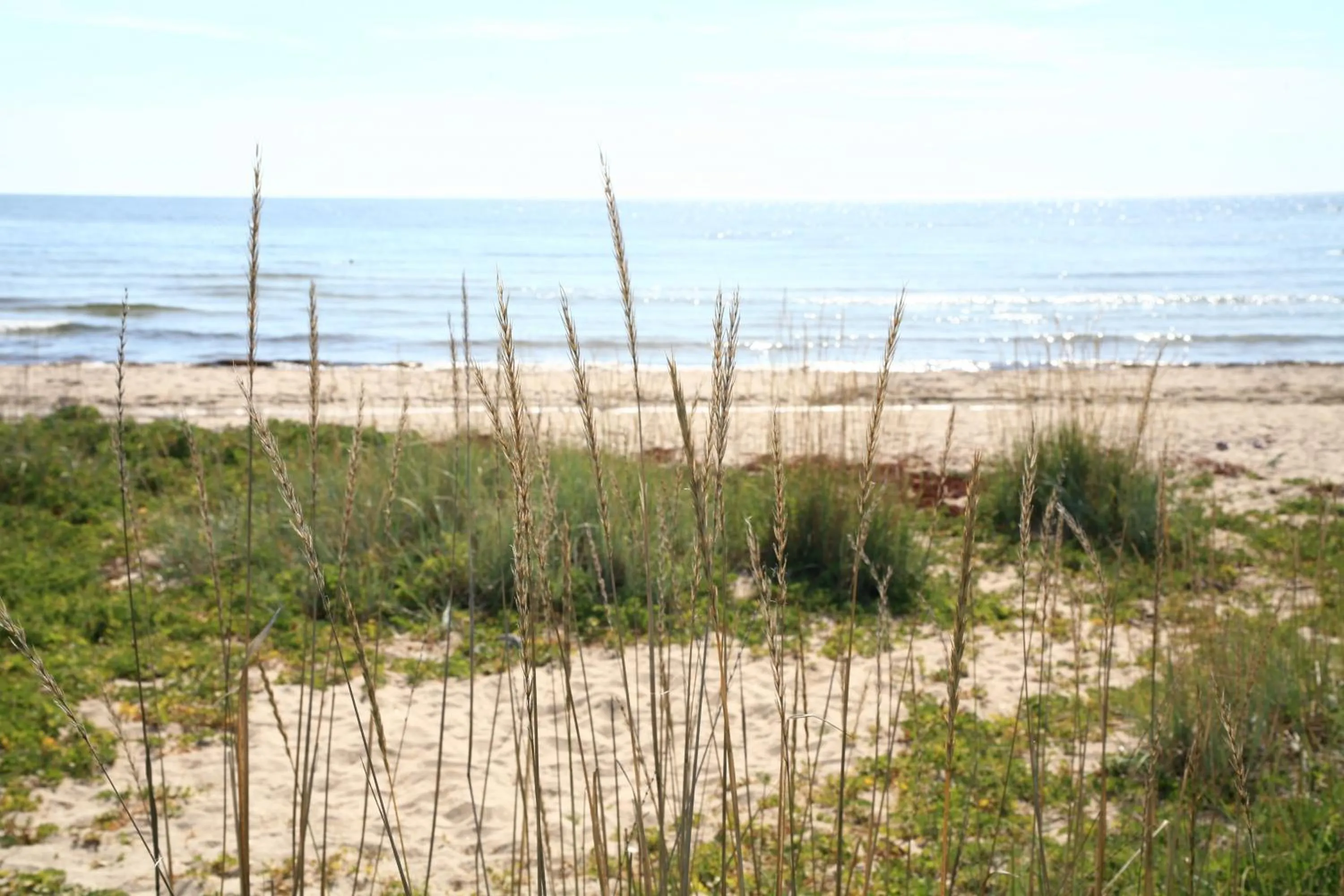 Beach in Hölick Havsresort & spa