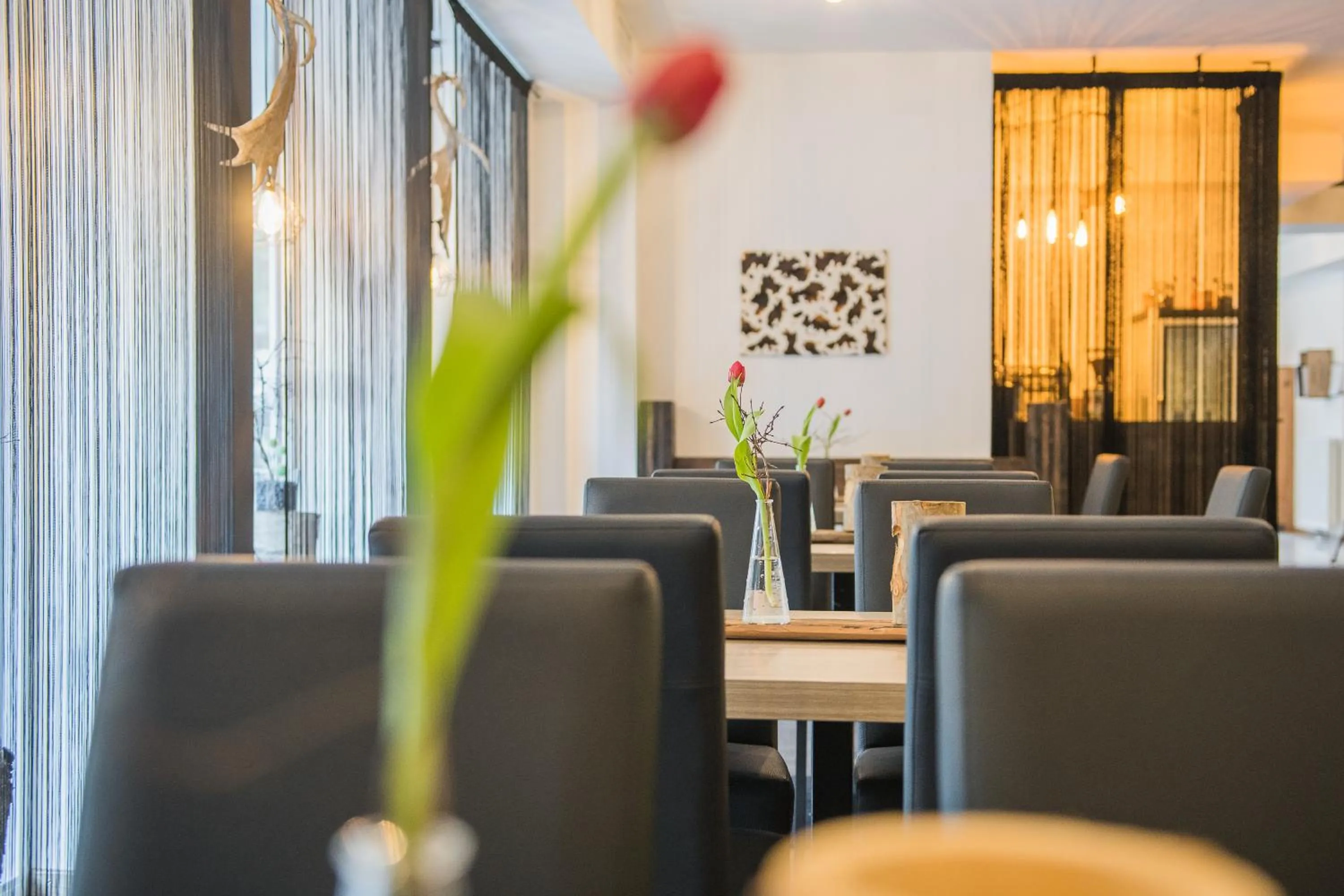 Restaurant/places to eat in Residence Martell Mountains