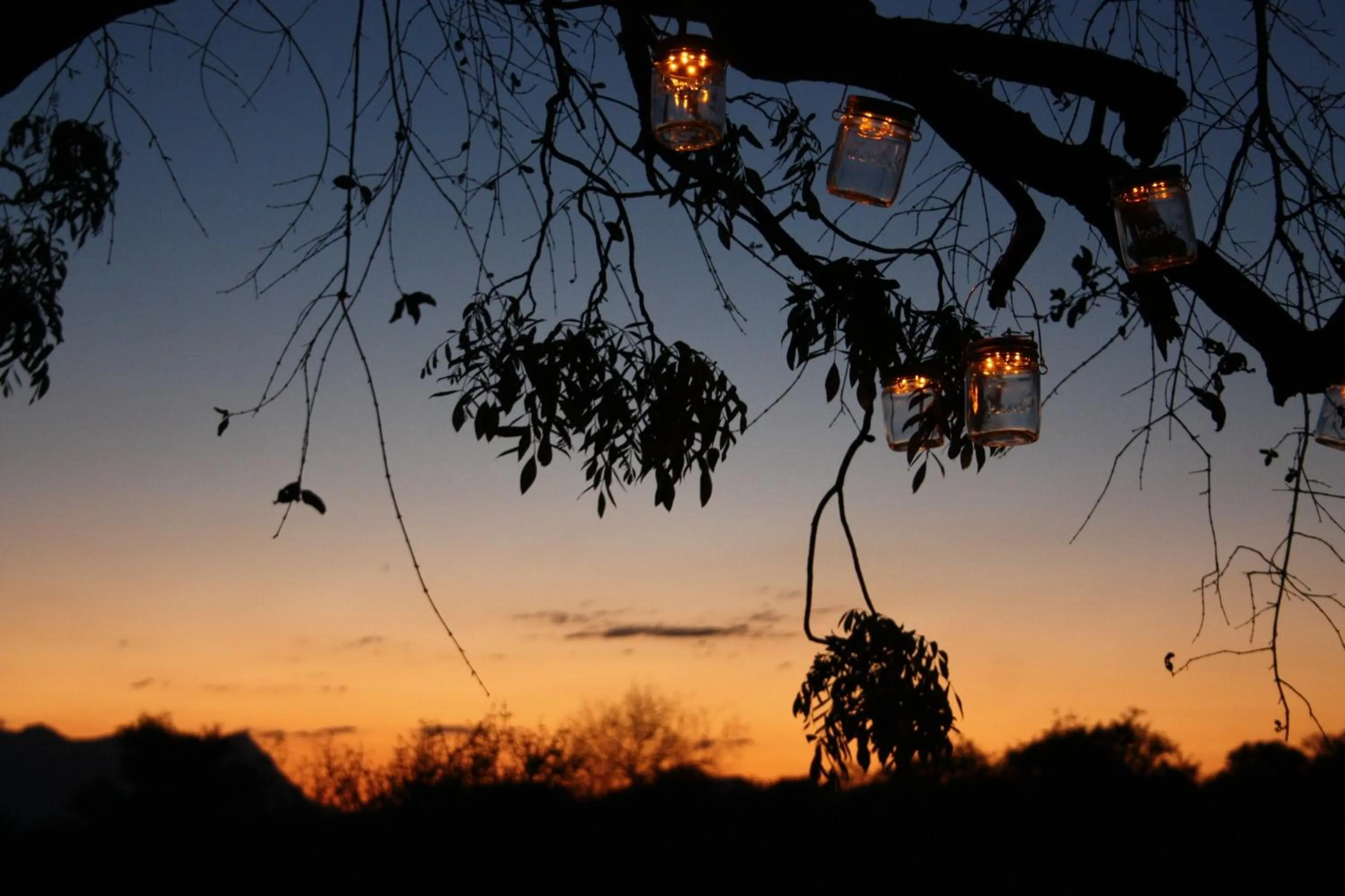 Area and facilities in Khaya Ndlovu Safari Manor