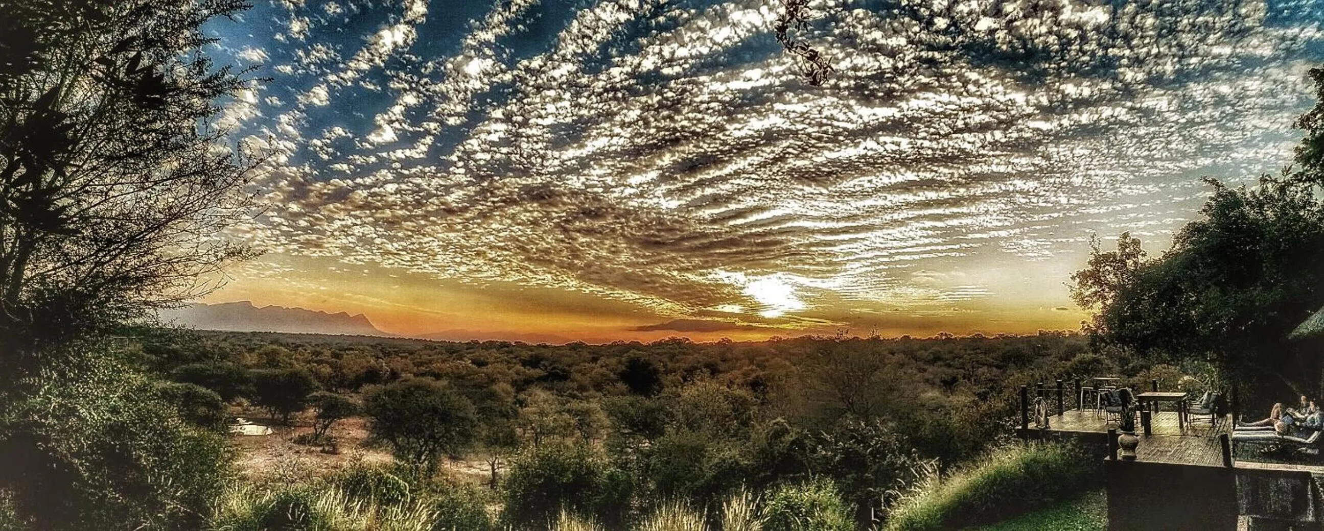 Natural landscape in Khaya Ndlovu Safari Manor