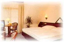Double Room - single occupancy in Hotel am Gisselgrund Double Room - single occupancy in Hotel am Gisselgrund