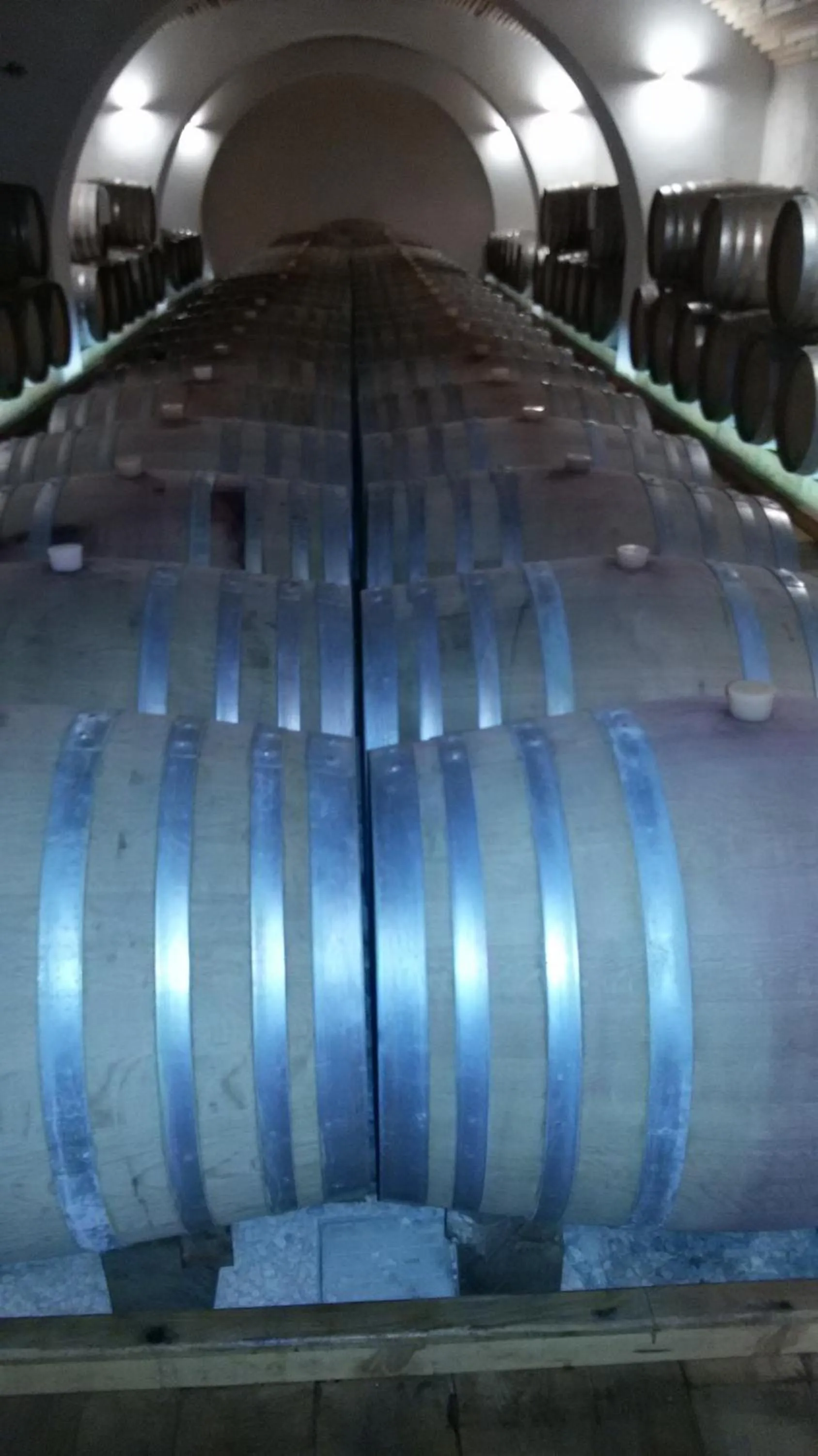 On site in Hotel 660