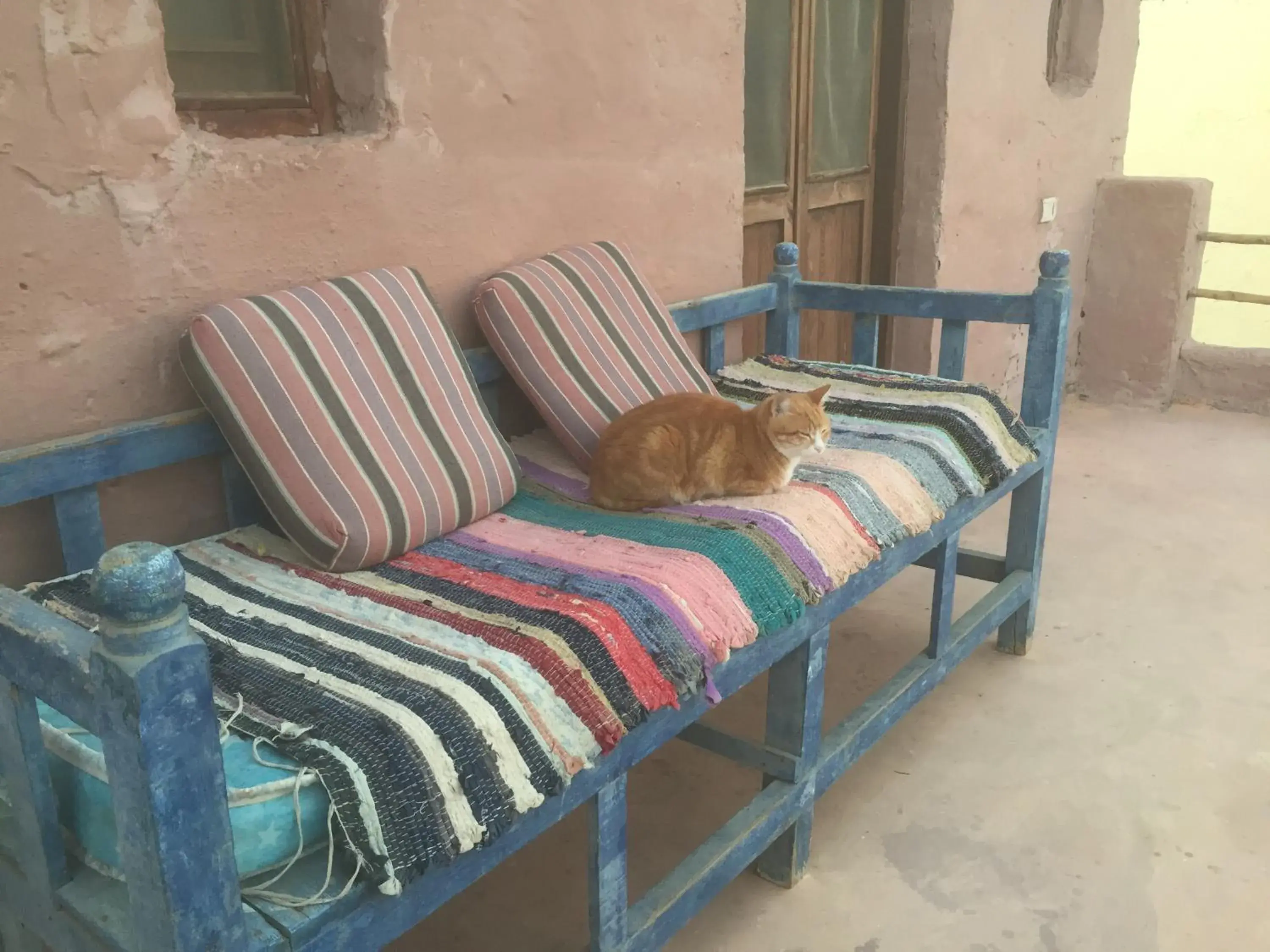 Budget Double Room - single occupancy in Deep south Eco-lodge Budget Double Room - single occupancy in Deep south Eco-lodge