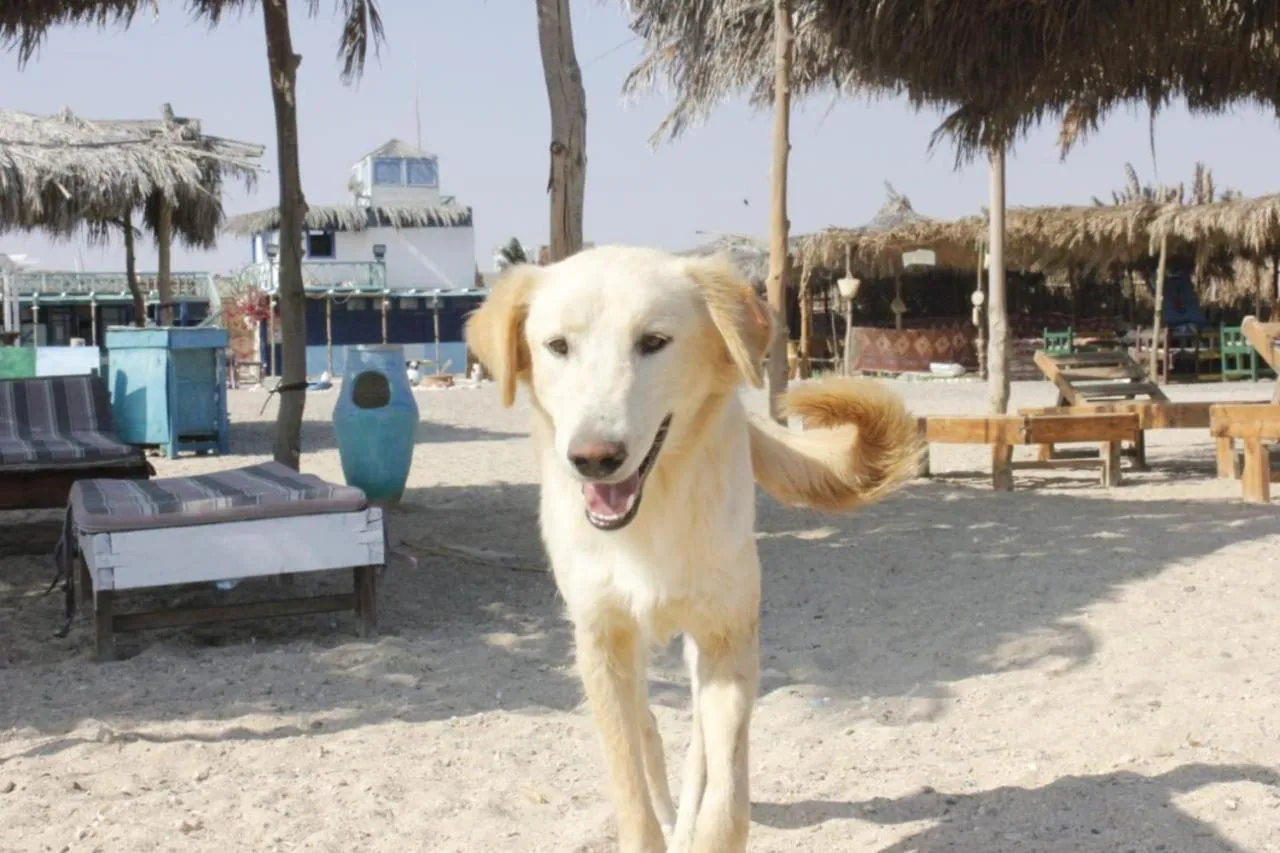 Deep south Eco-lodge