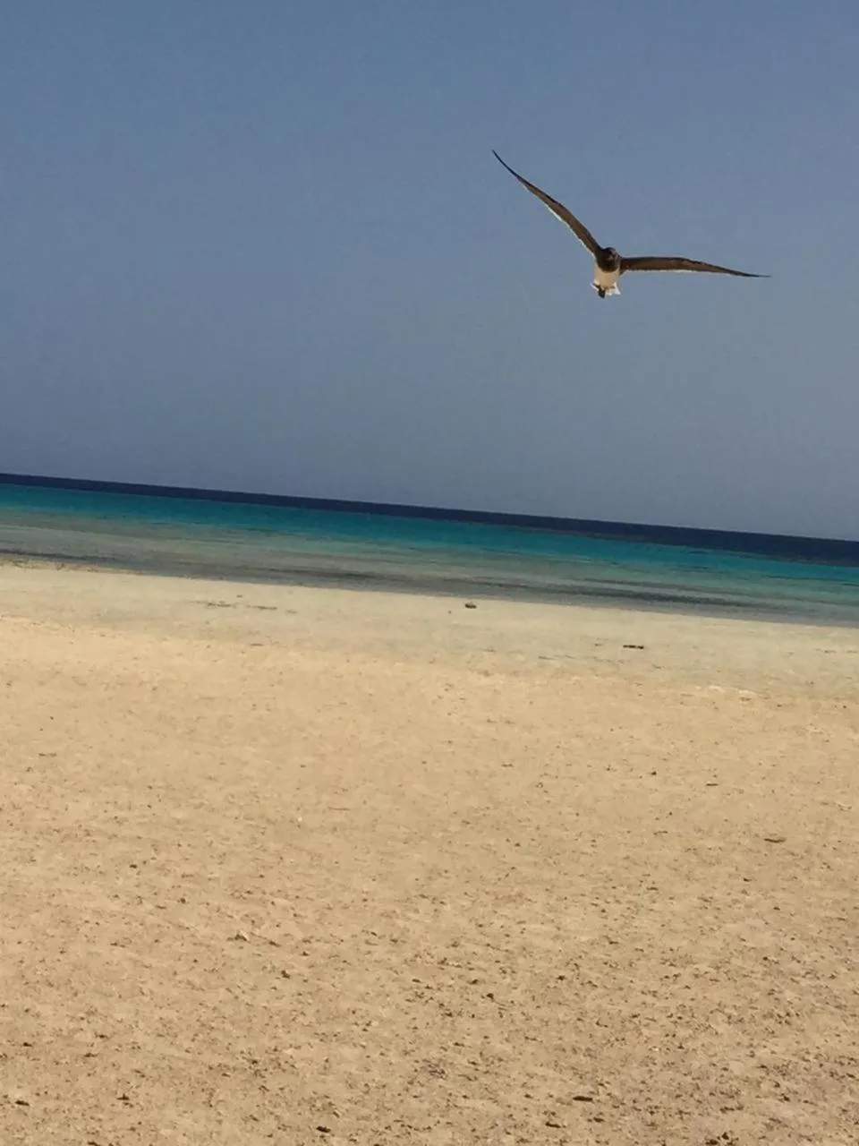 Deep south Eco-lodge