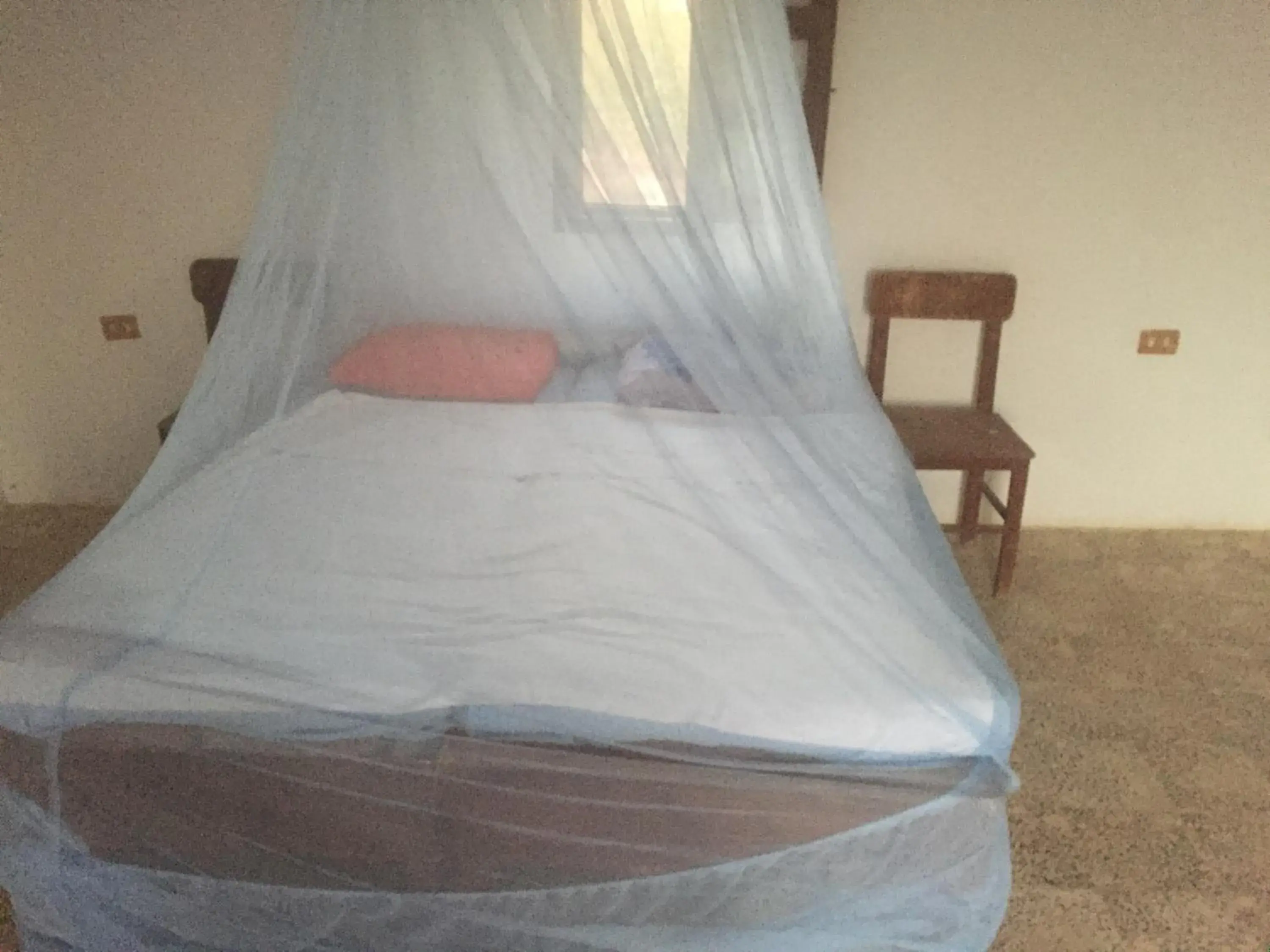 Budget Double Room - single occupancy in Deep south Eco-lodge Budget Double Room - single occupancy in Deep south Eco-lodge