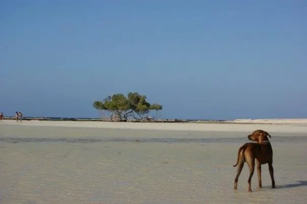 Deep south Eco-lodge