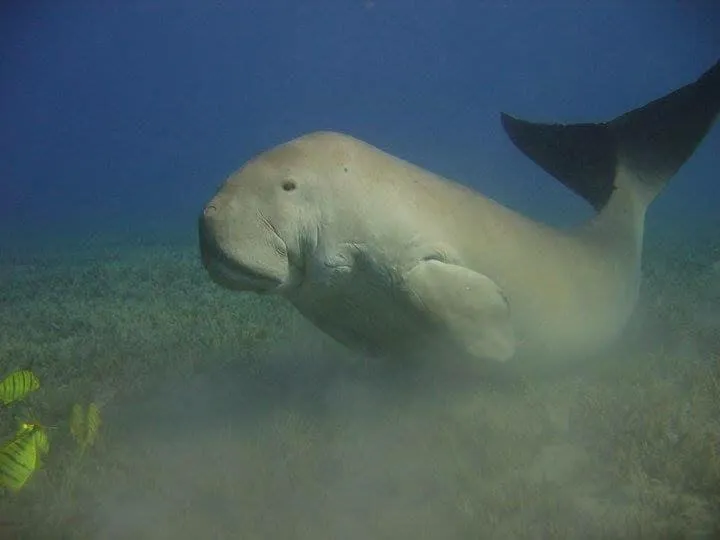 Deep south Eco-lodge