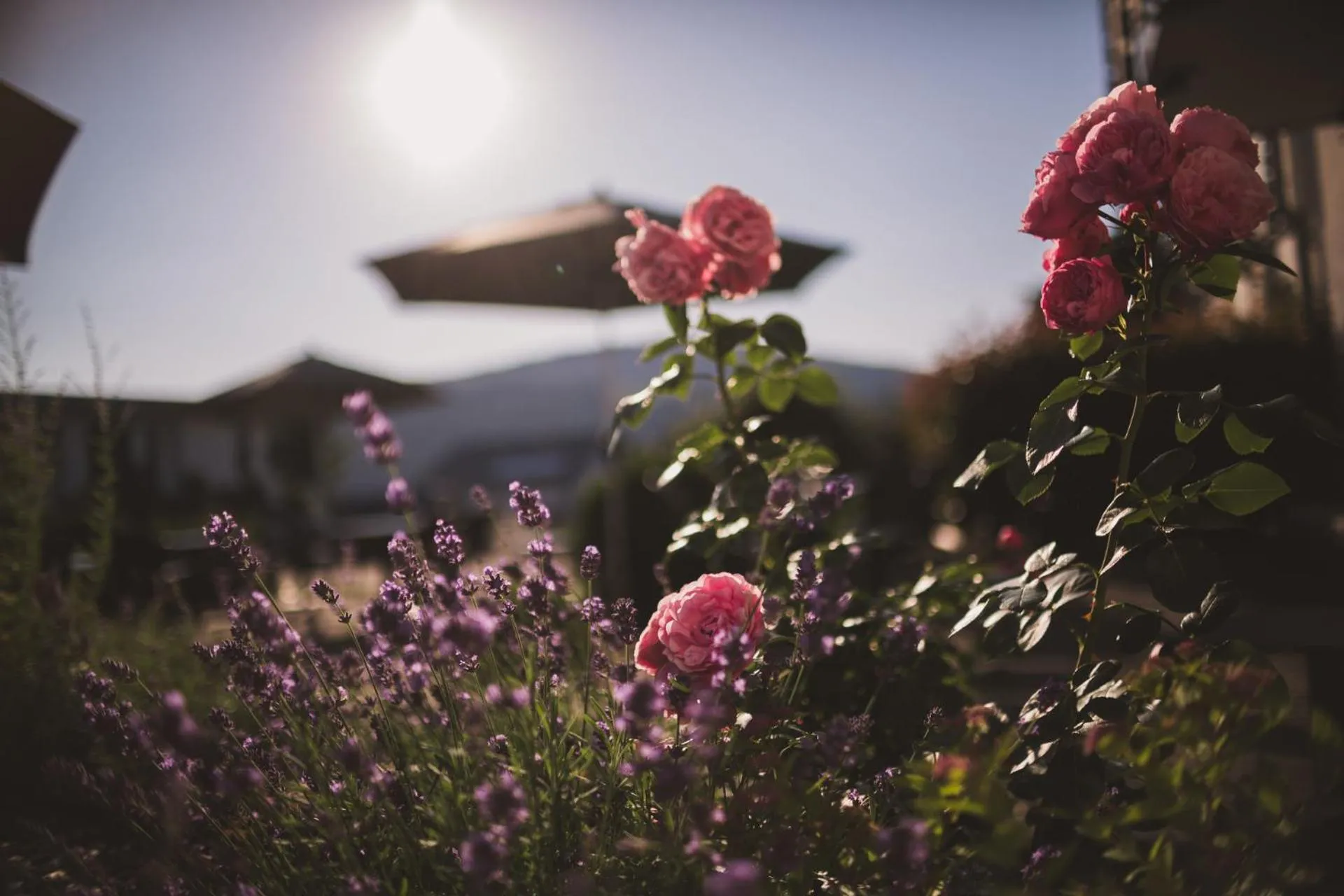 Garden in Weingut Gehlen-Cornelius