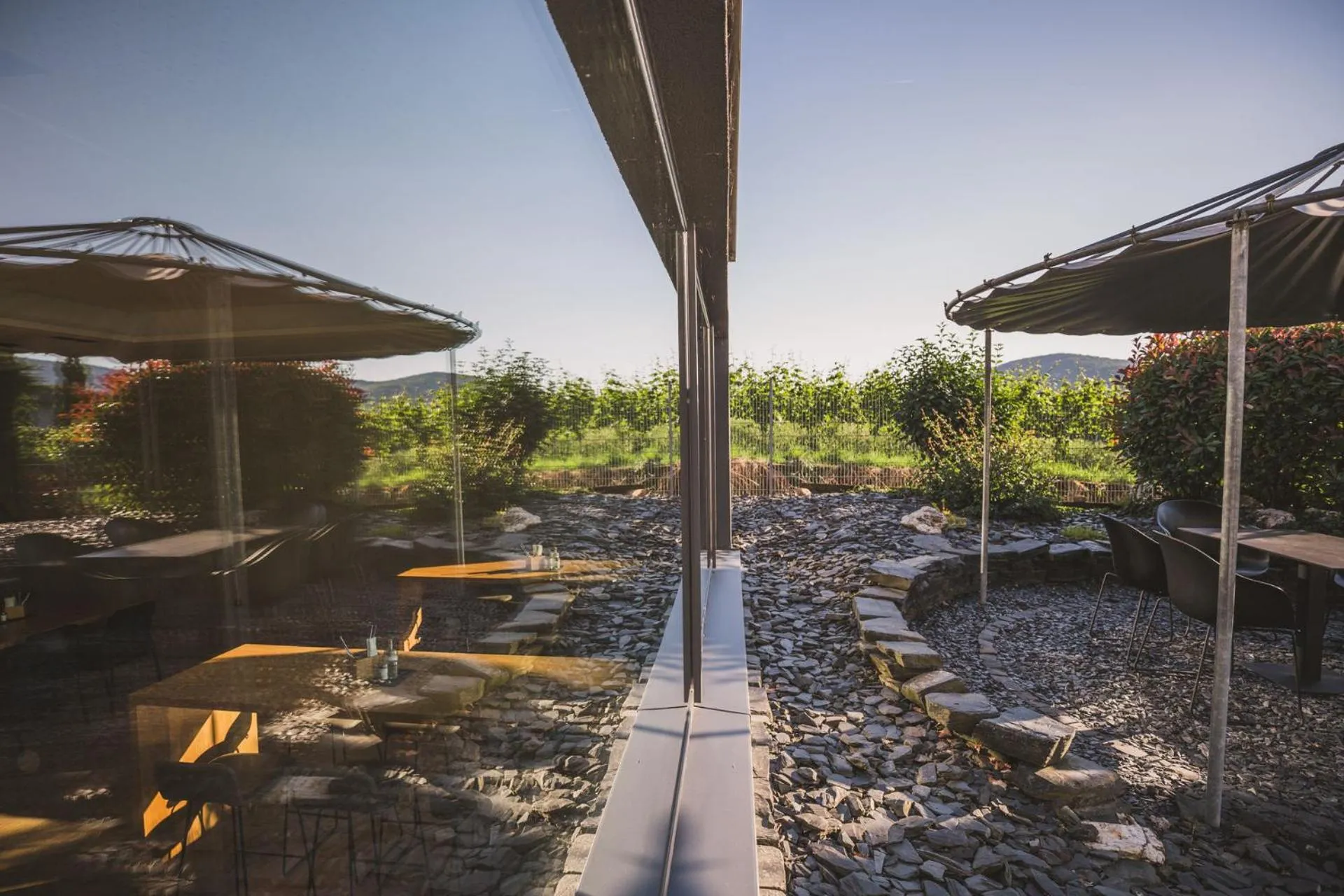 Garden in Weingut Gehlen-Cornelius