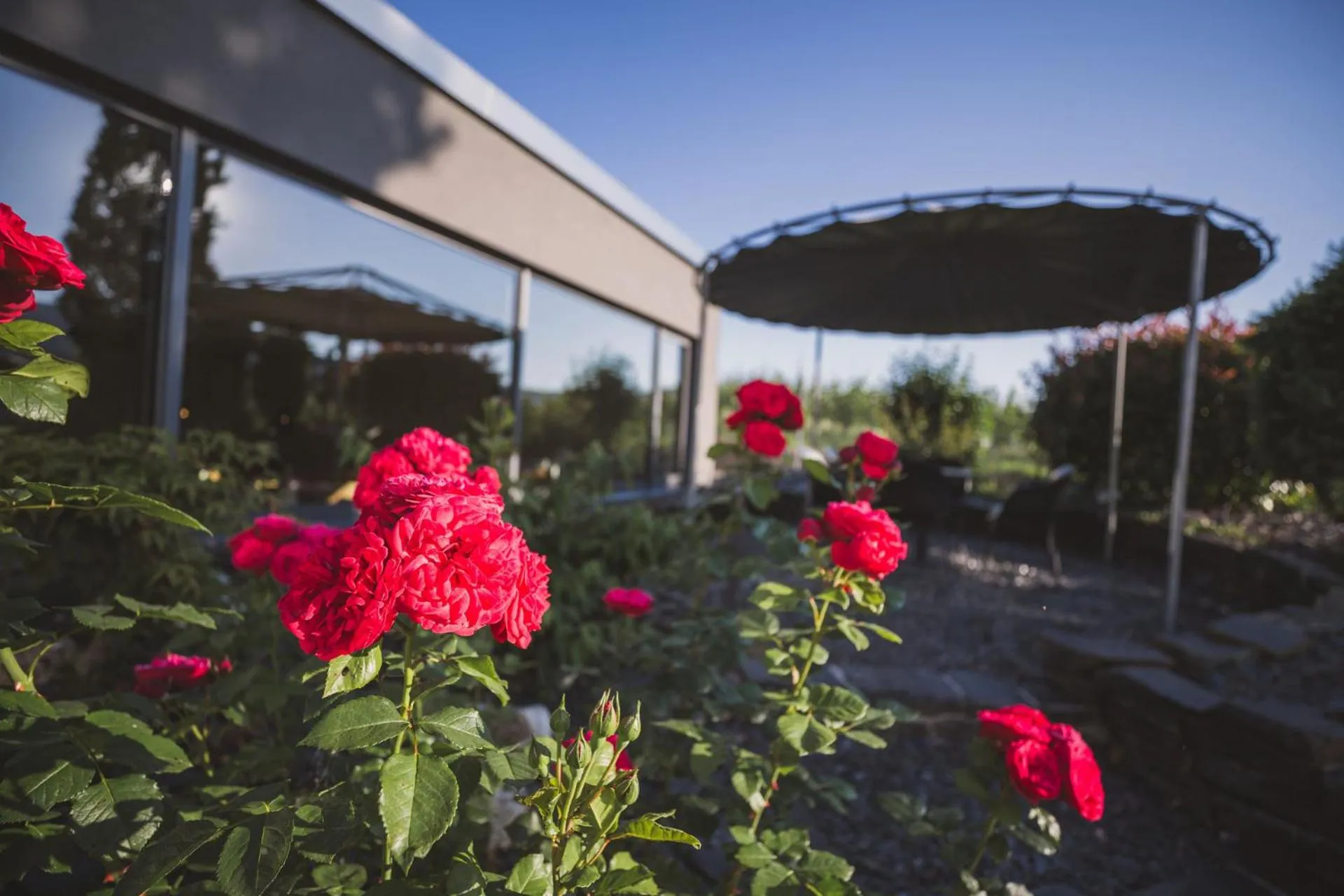 Garden in Weingut Gehlen-Cornelius