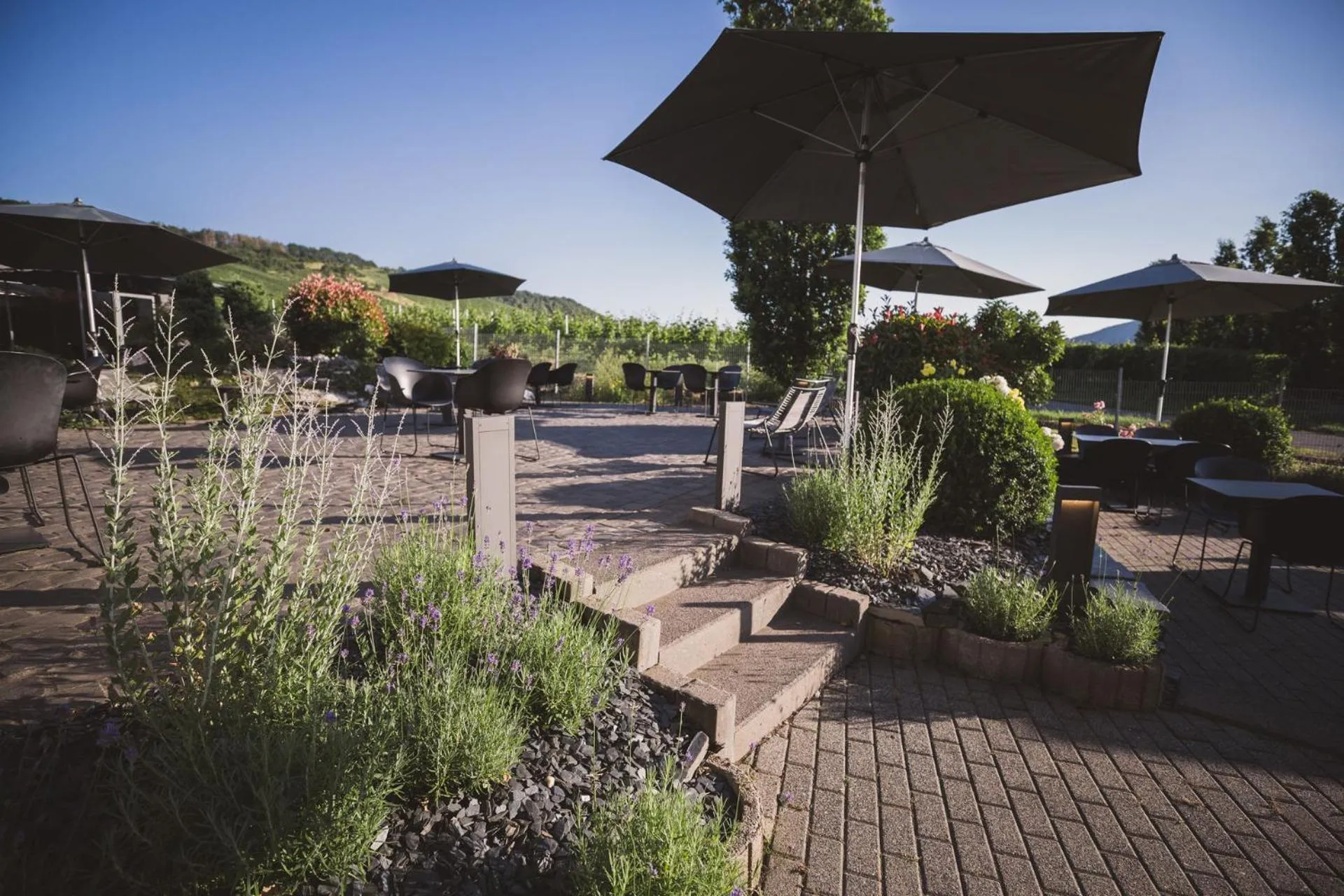 Garden in Weingut Gehlen-Cornelius