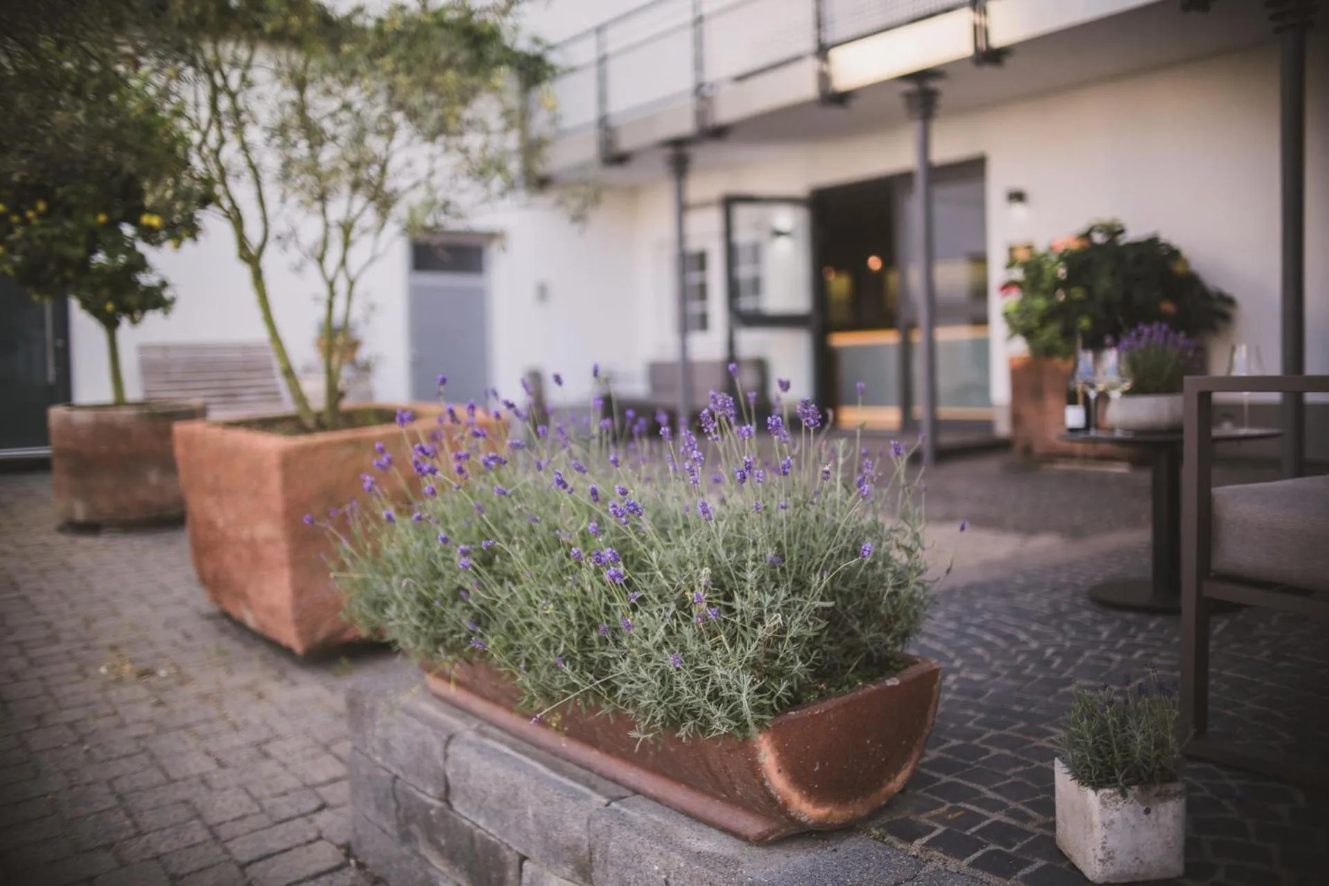 Patio in Weingut Gehlen-Cornelius