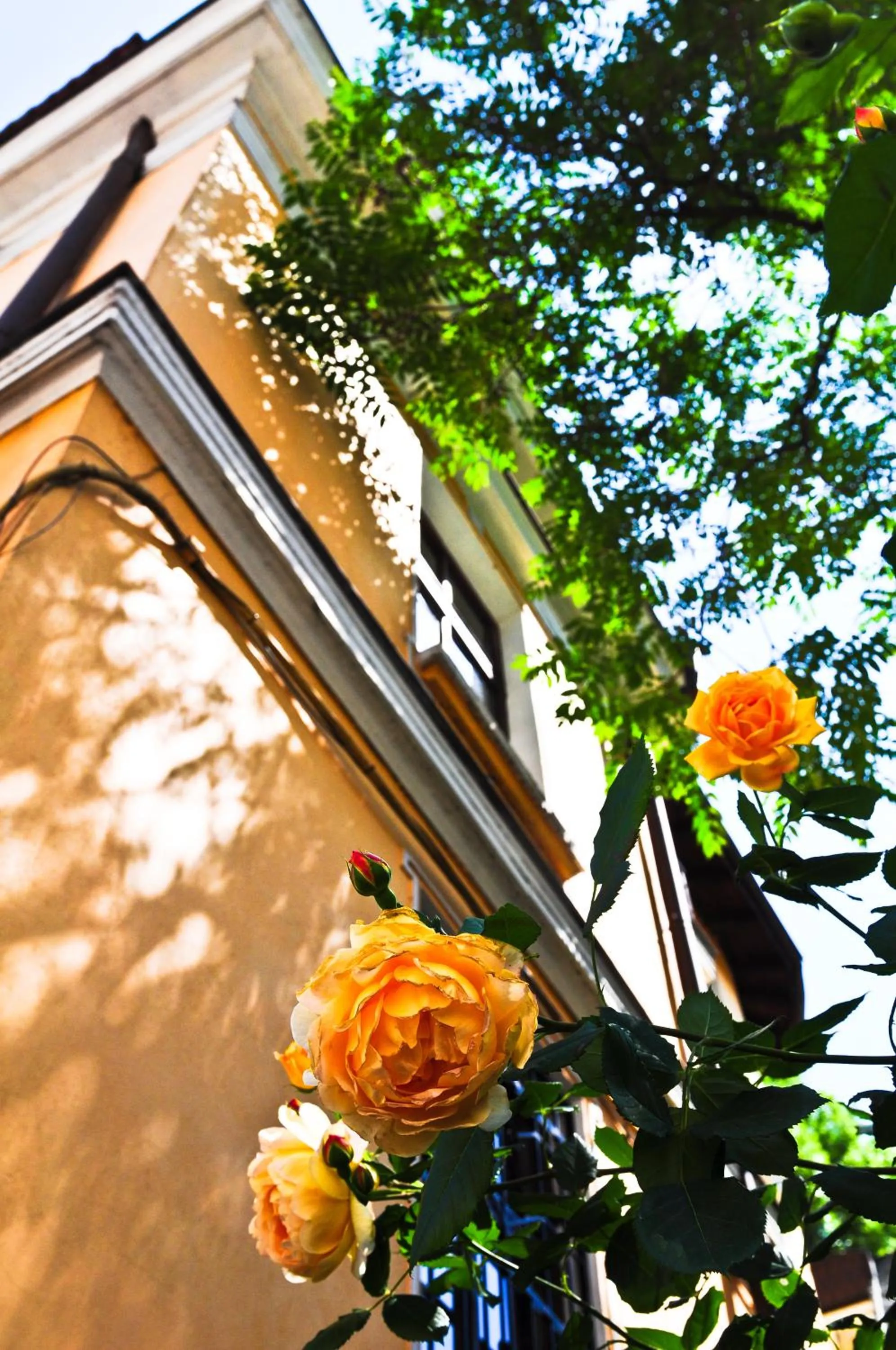 Facade/entrance in L'Opera Guest House