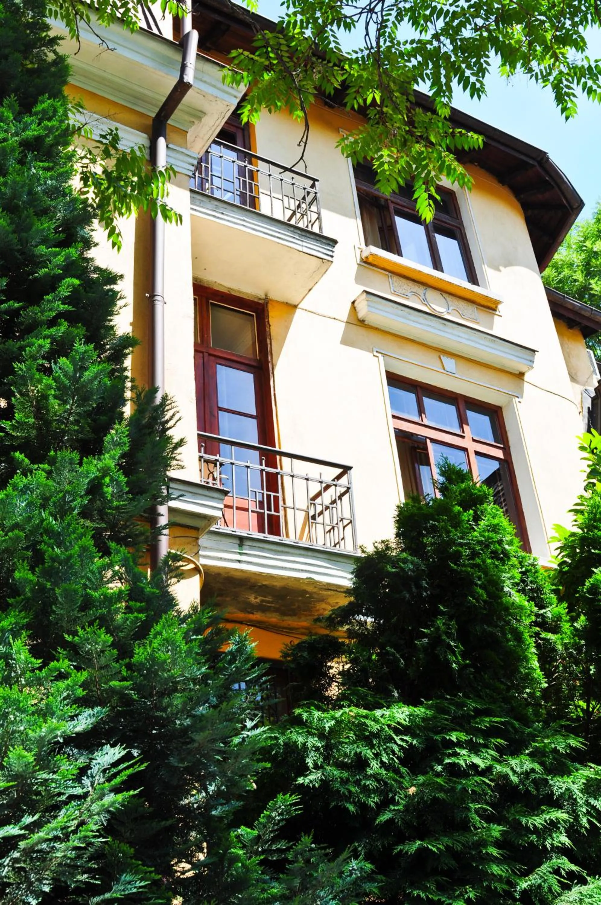 Garden view in L'Opera Guest House