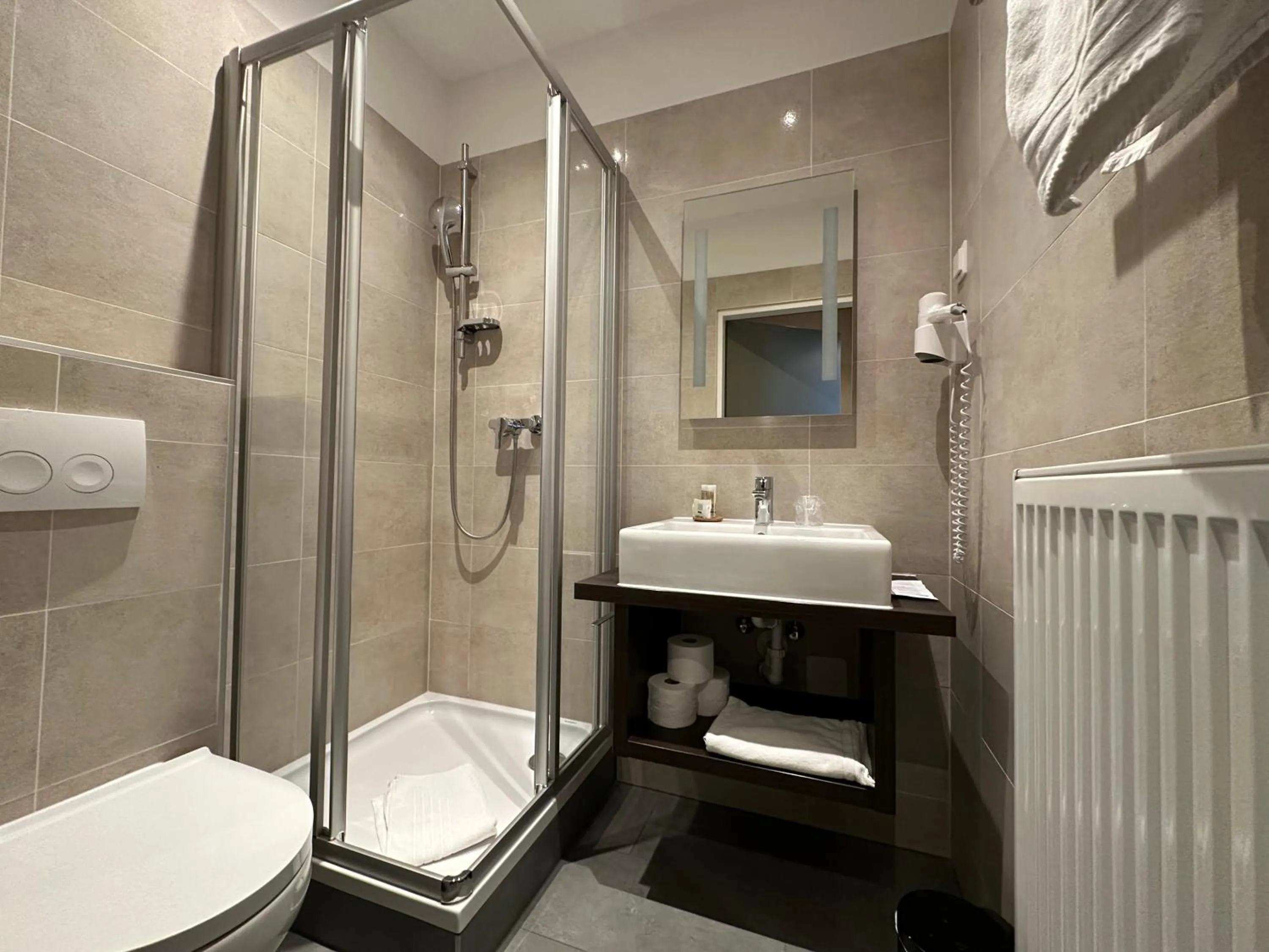 Toilet in Hotel Brauhof Wien