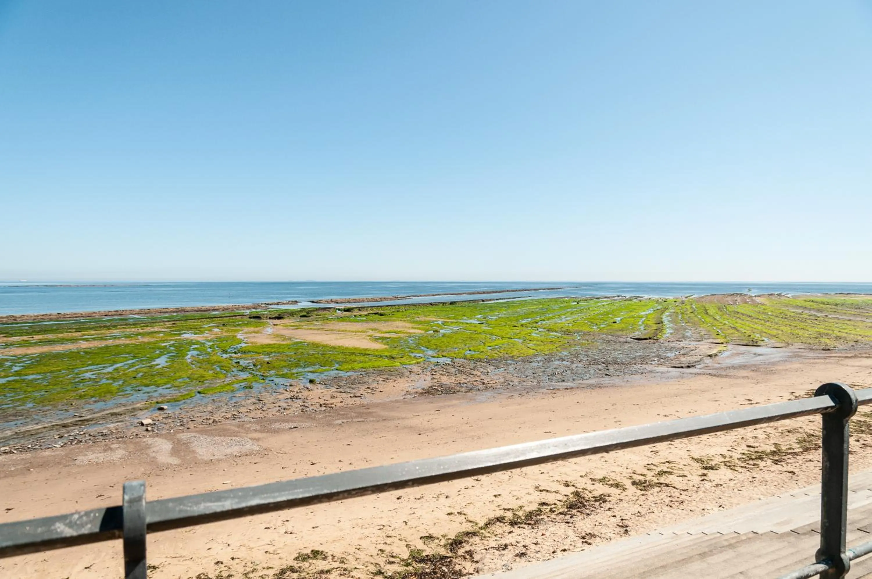 Nearby landmark in Claxton Hotel