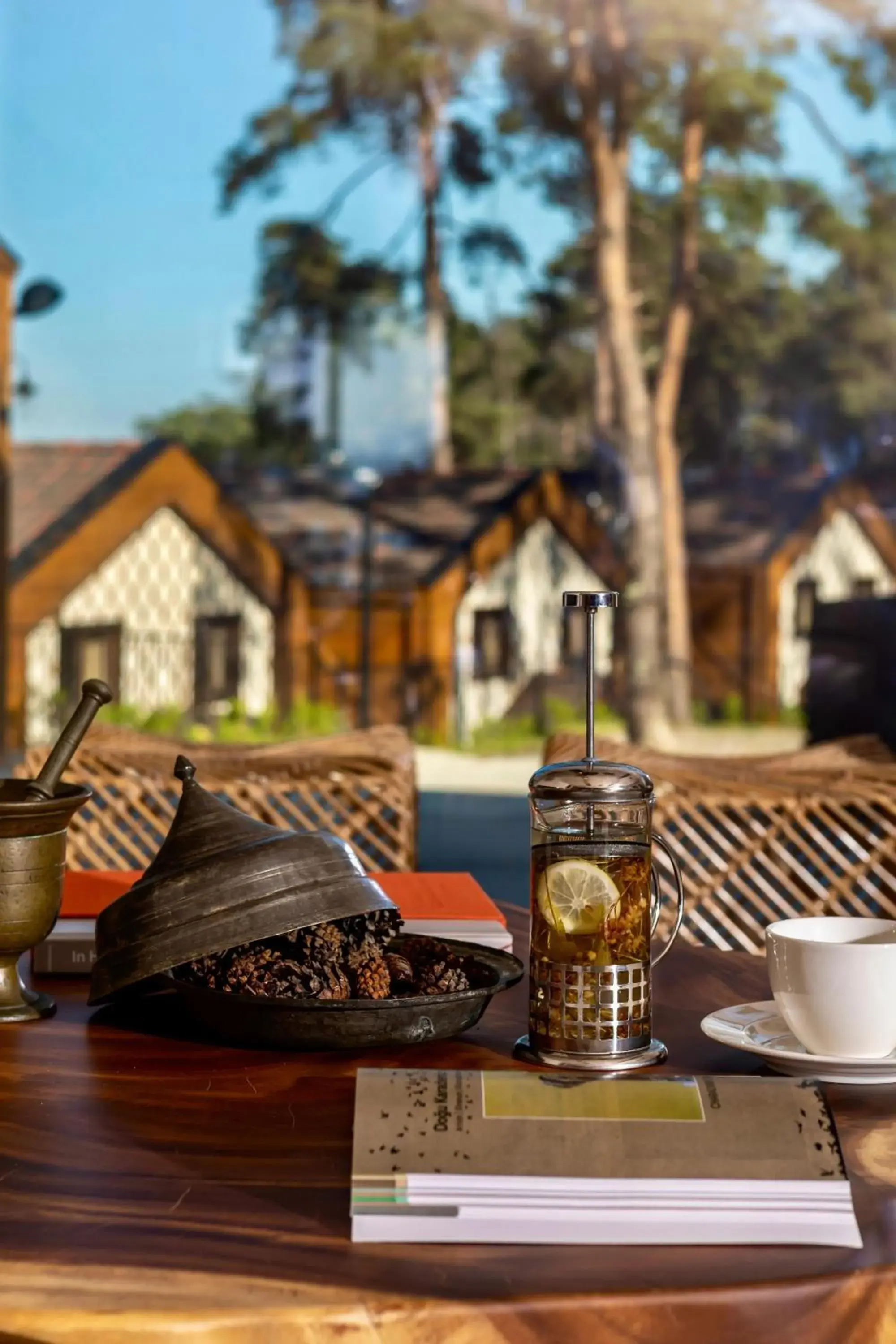 Lobby or reception in Hancioglu Orman Evleri & Hotel Lobby or reception in Hancioglu Orman Evleri & Hotel