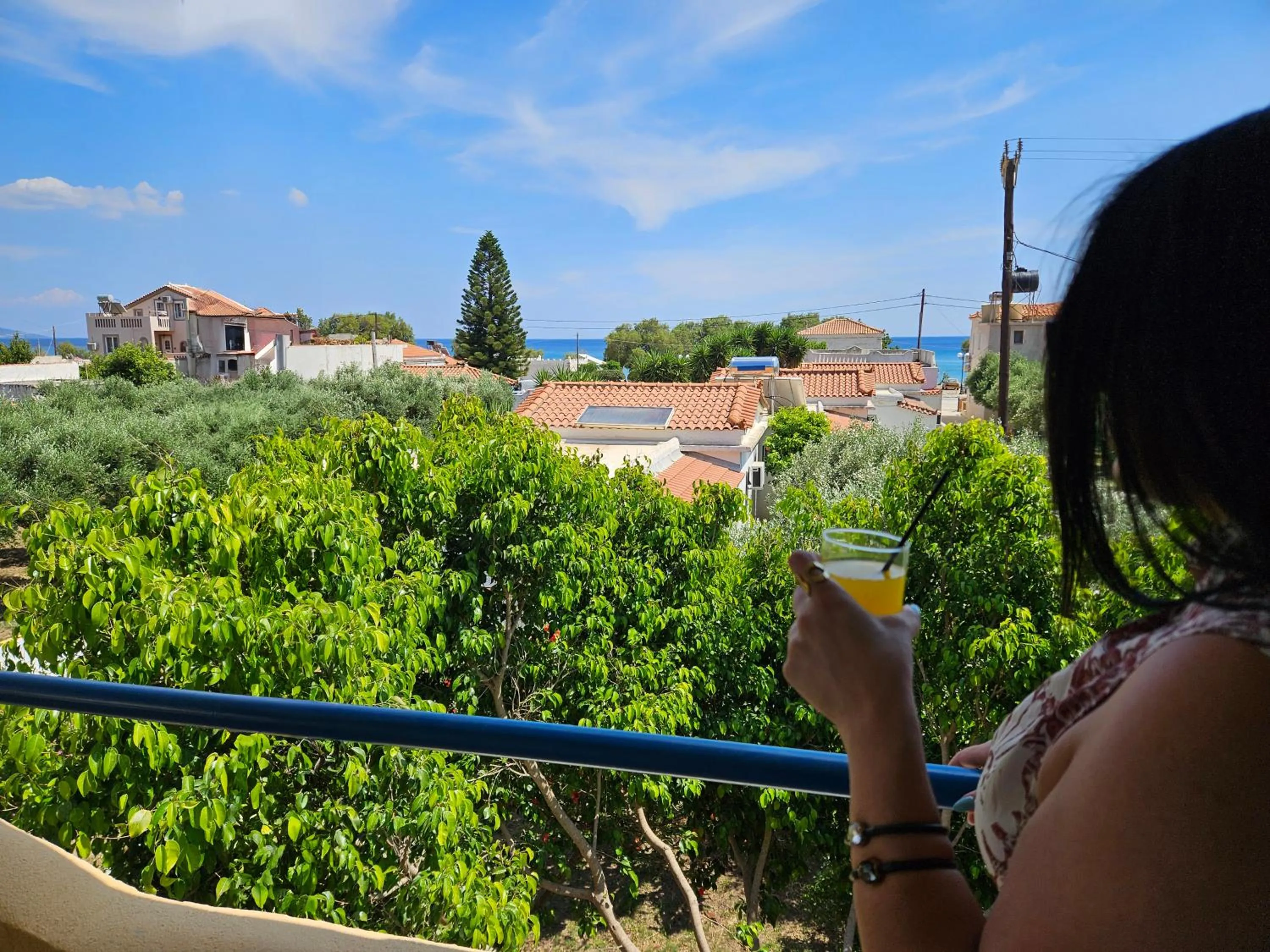 Day in Pavlis Studios Kampos