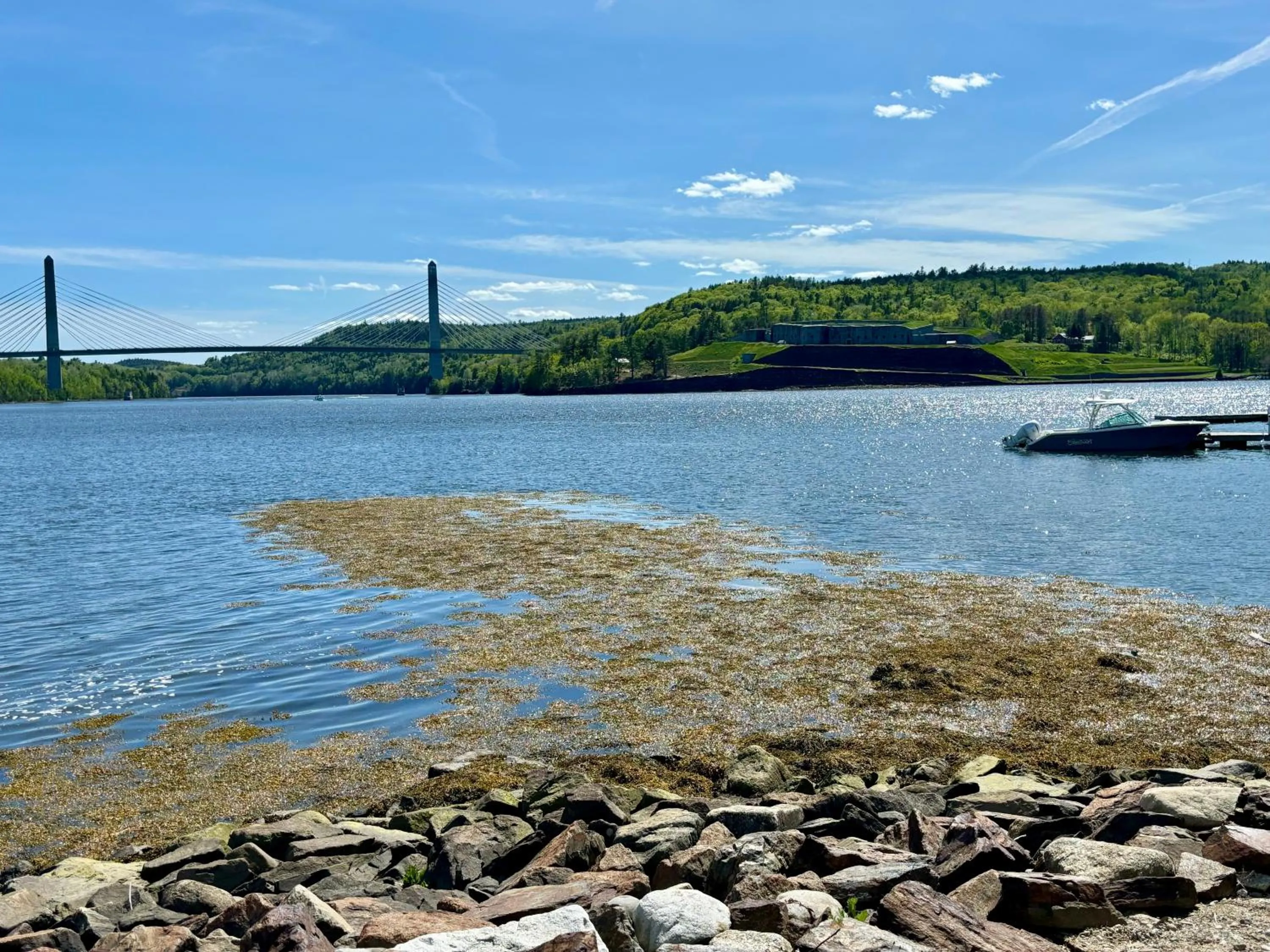 Natural landscape in Fort Knox Inn