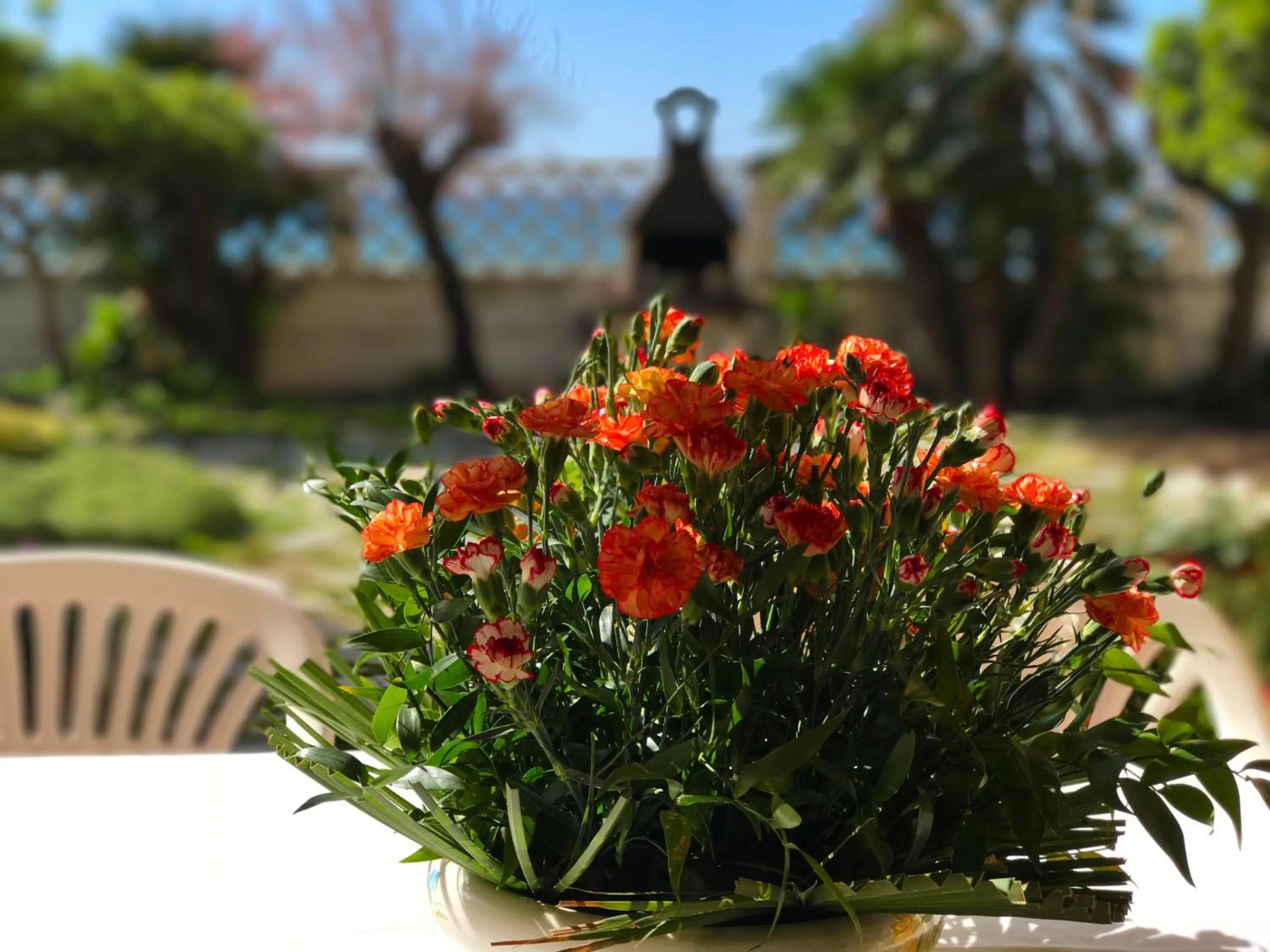 Property building in il giardino sul mare B&B