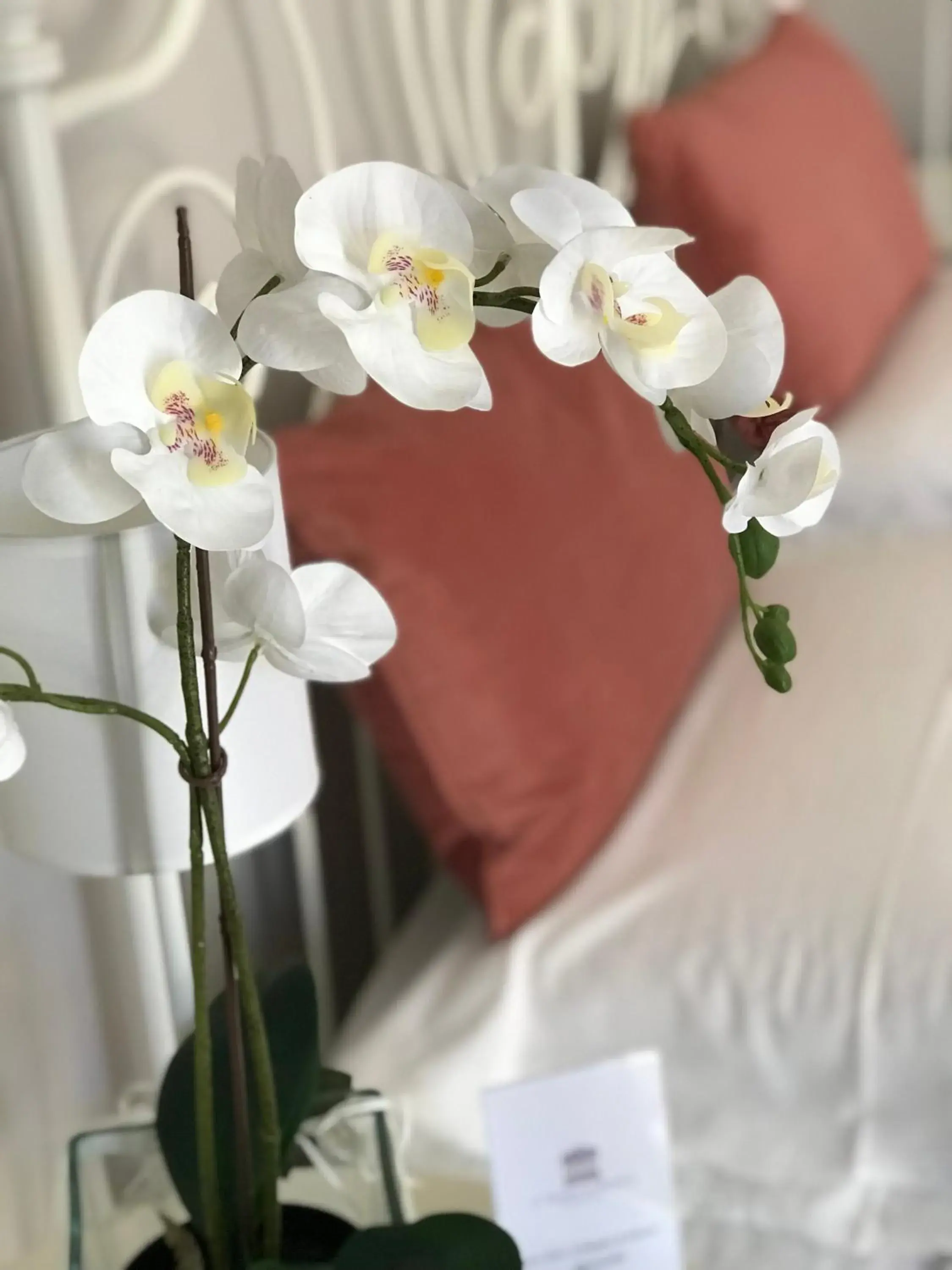 Bed in Il Tempio di Athena - Cultura e Relax a Siracusa Bed in Il Tempio di Athena - Cultura e Relax a Siracusa