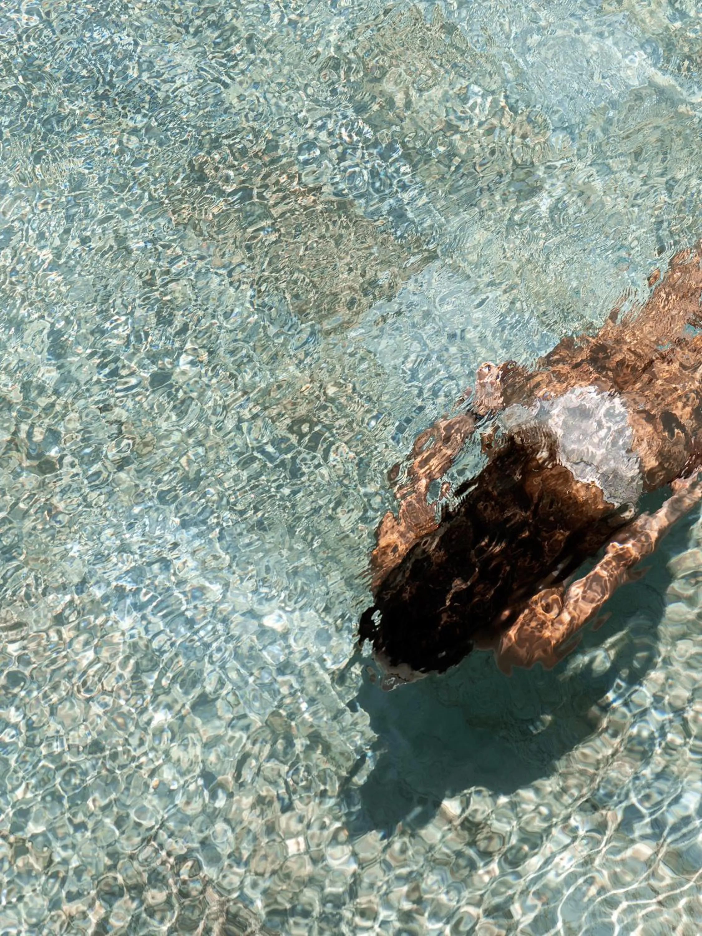 Bird's eye view in Nama Retreat