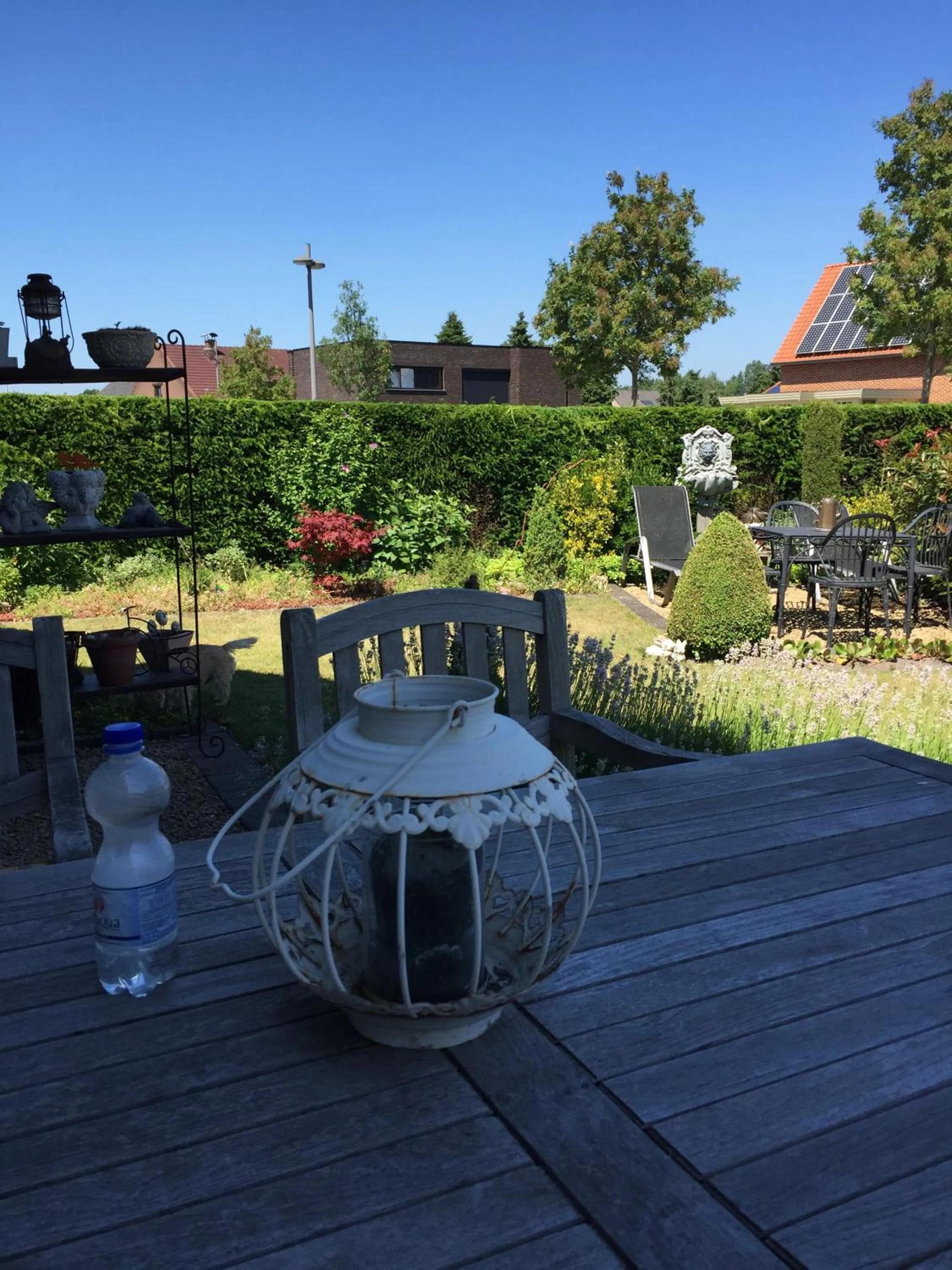 View (from property/room) in B&B T Pleintje