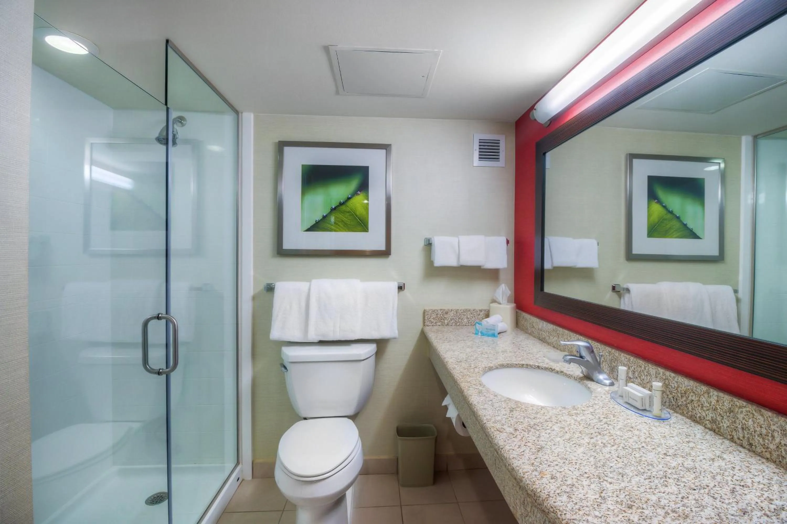 Bathroom in Courtyard by Marriott Killeen