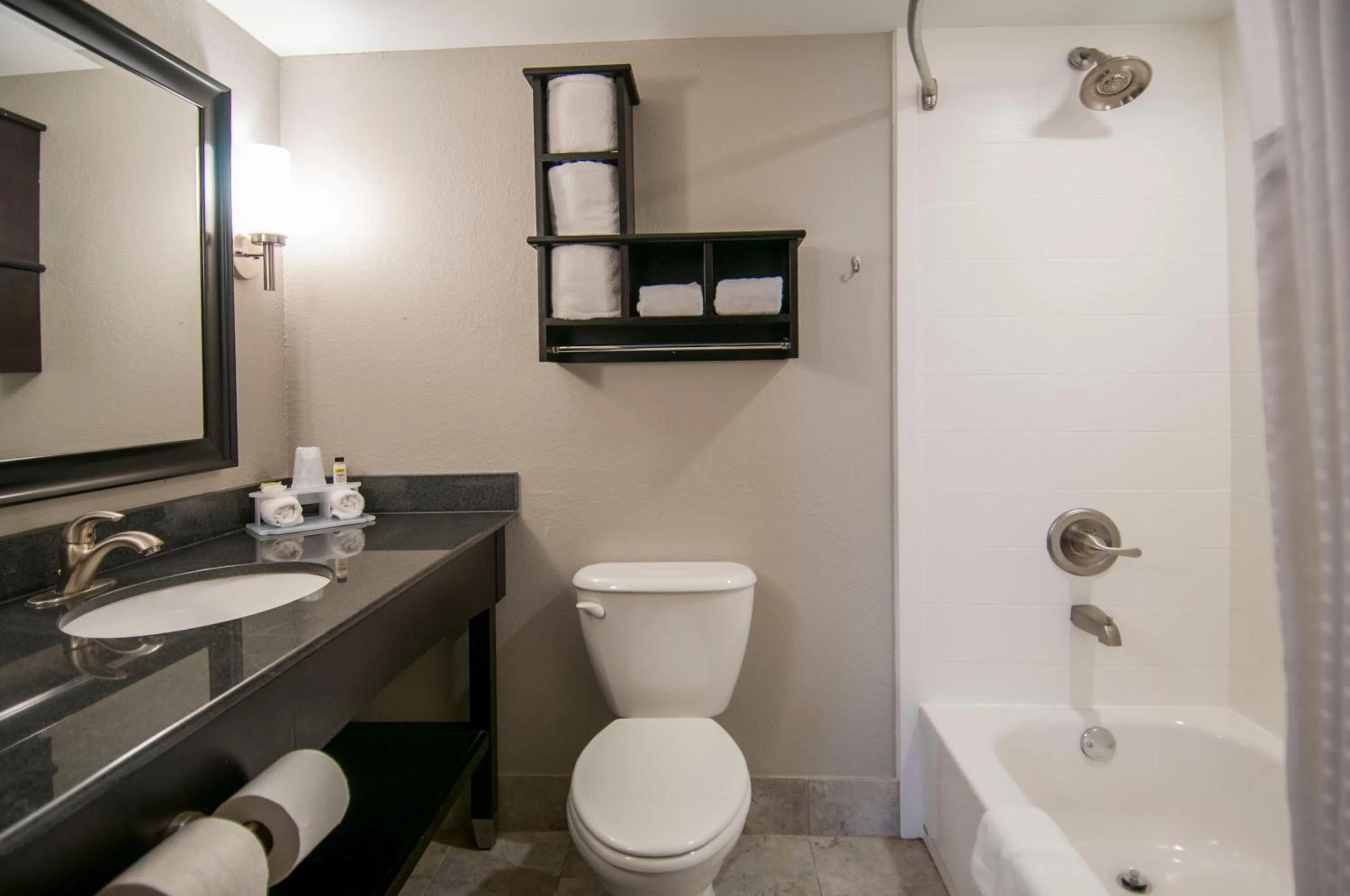 Bathroom in Holiday Inn Express & Suites Jackson Downtown - Coliseum by IHG