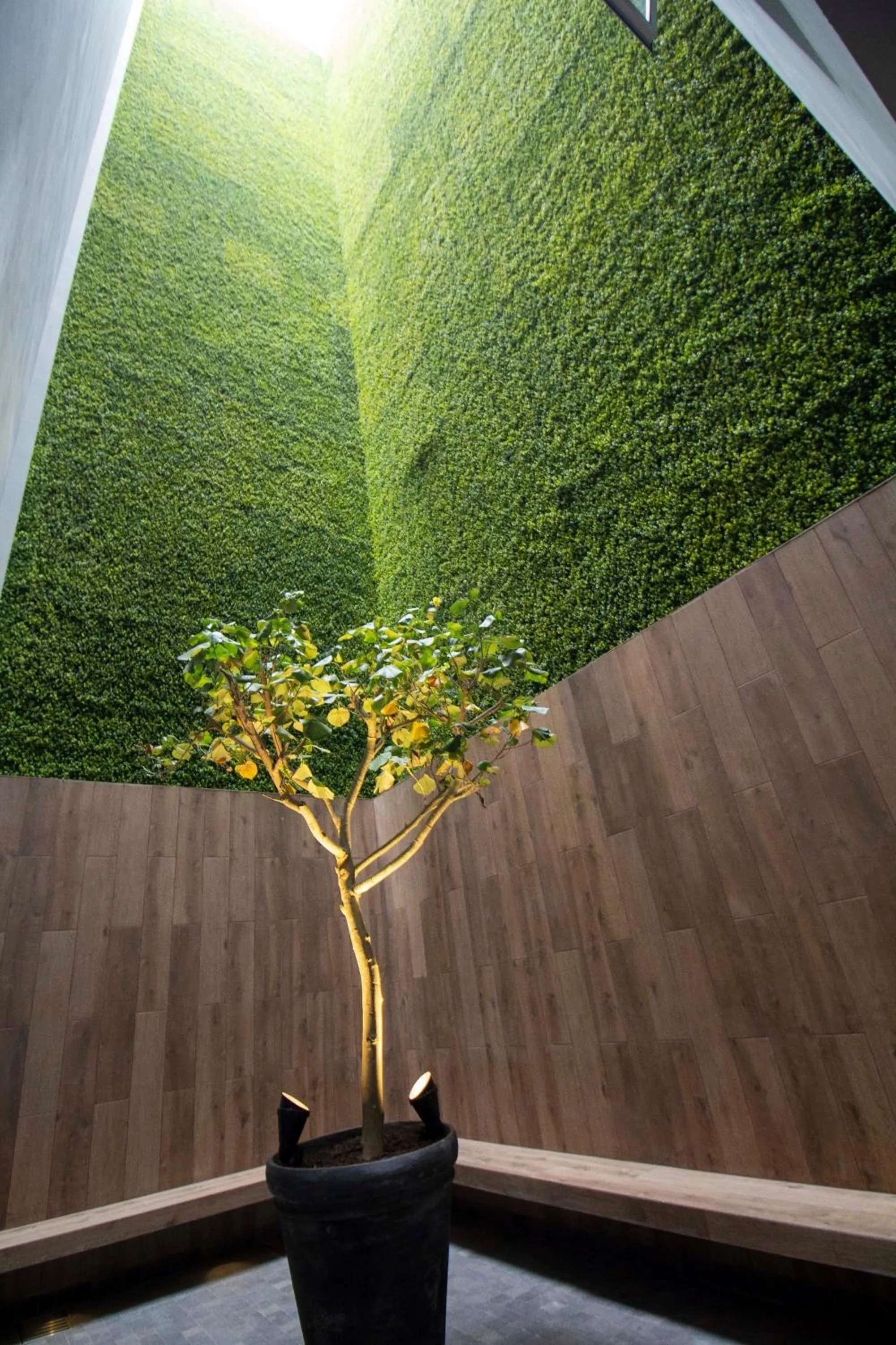 Patio in Tierra Viva Miraflores Centro