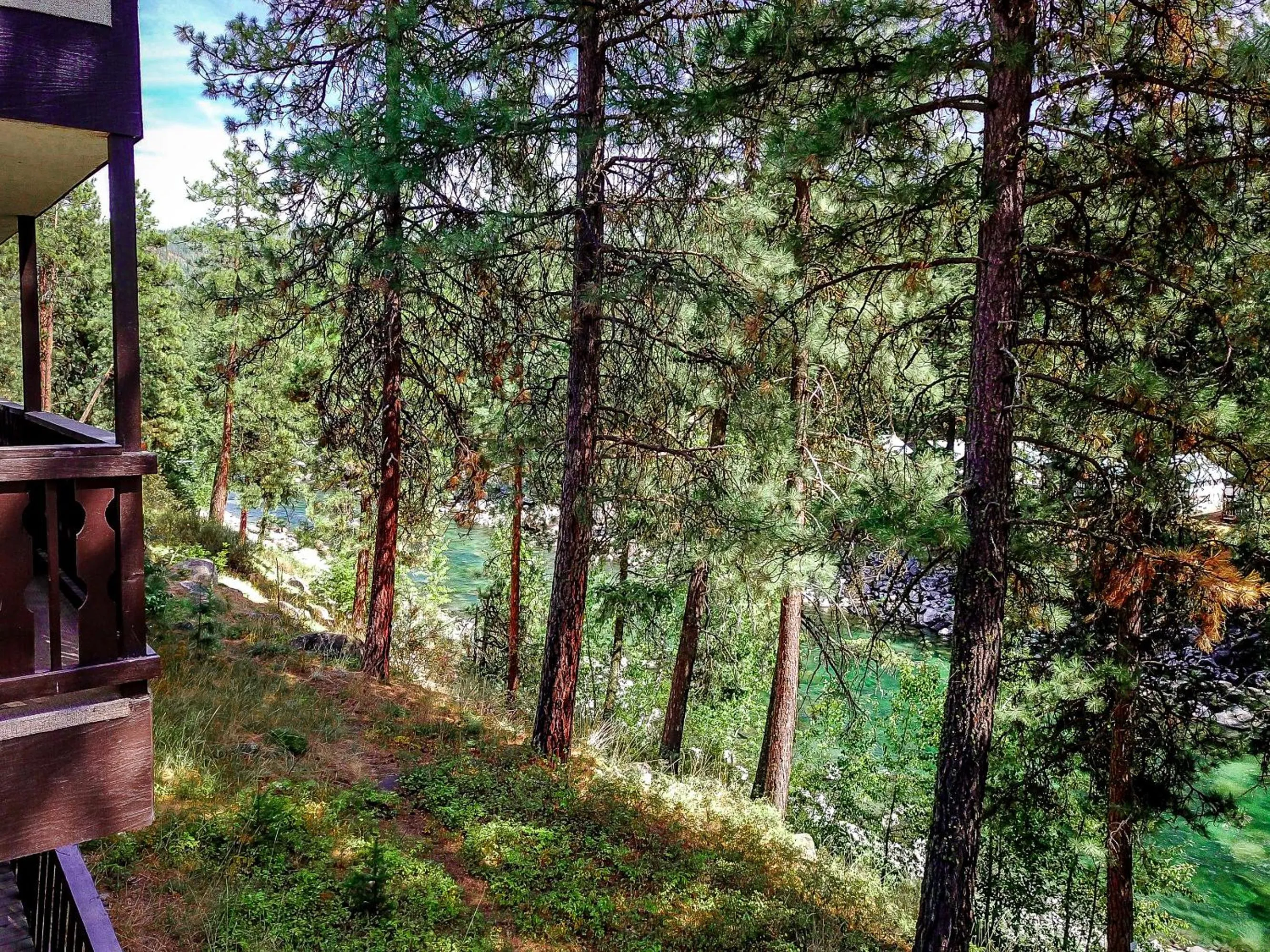 River view in Alpine Rivers Inn
