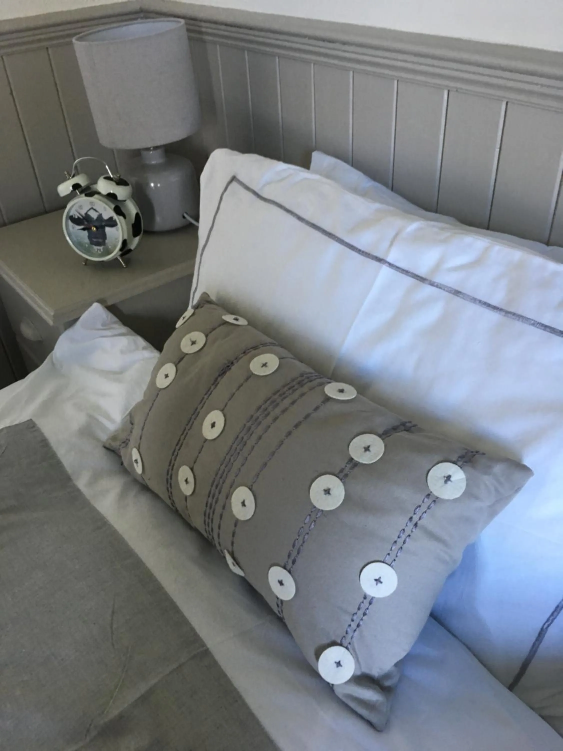 Large Twin Room in Ballyginniff Farm House