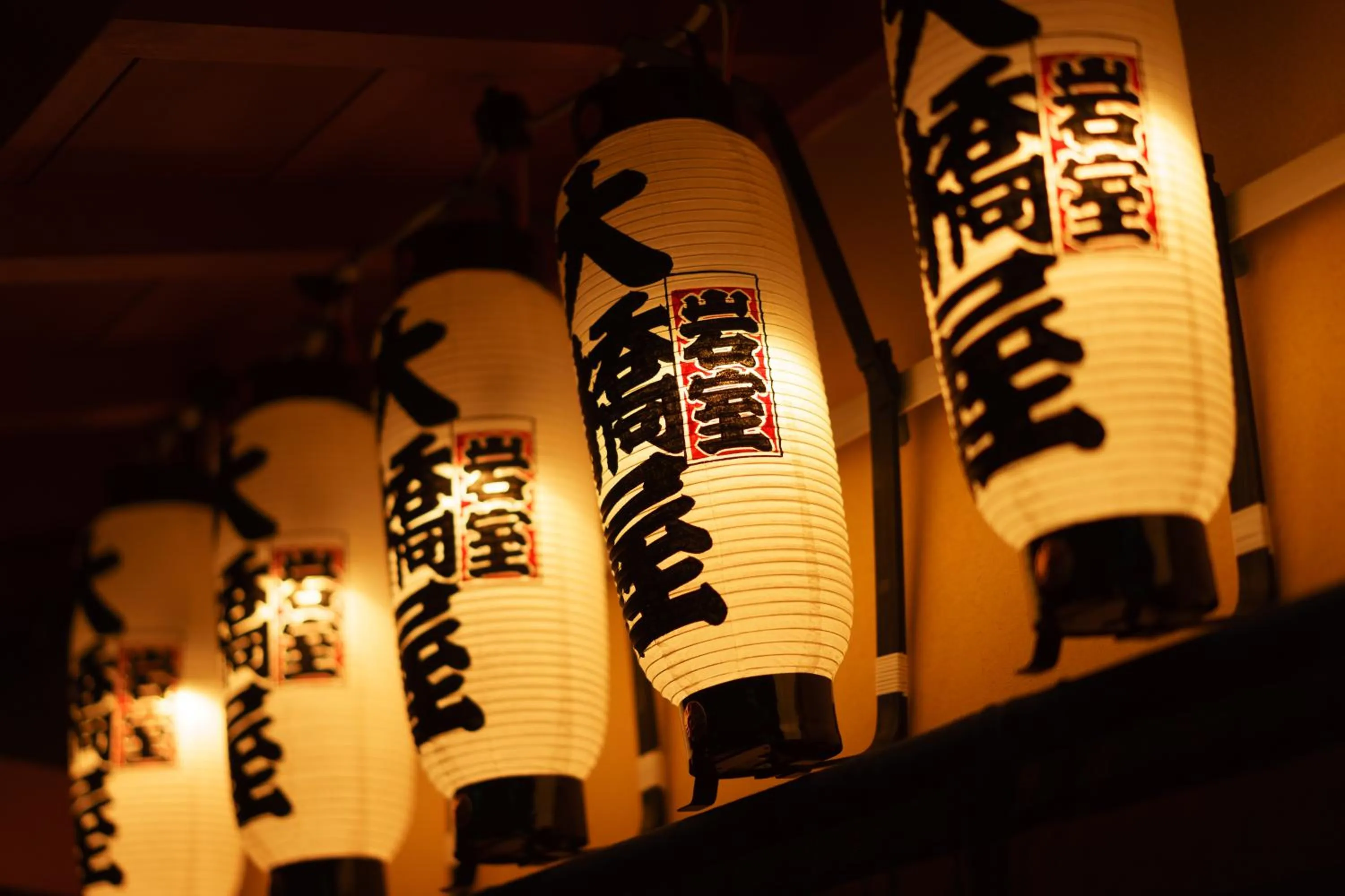 View (from property/room) in Hotel Hoho "A hotel overlooking the Echigo Plain and the Yahiko mountain range" formerly Hotel Oohashi Yakata-no-Yu