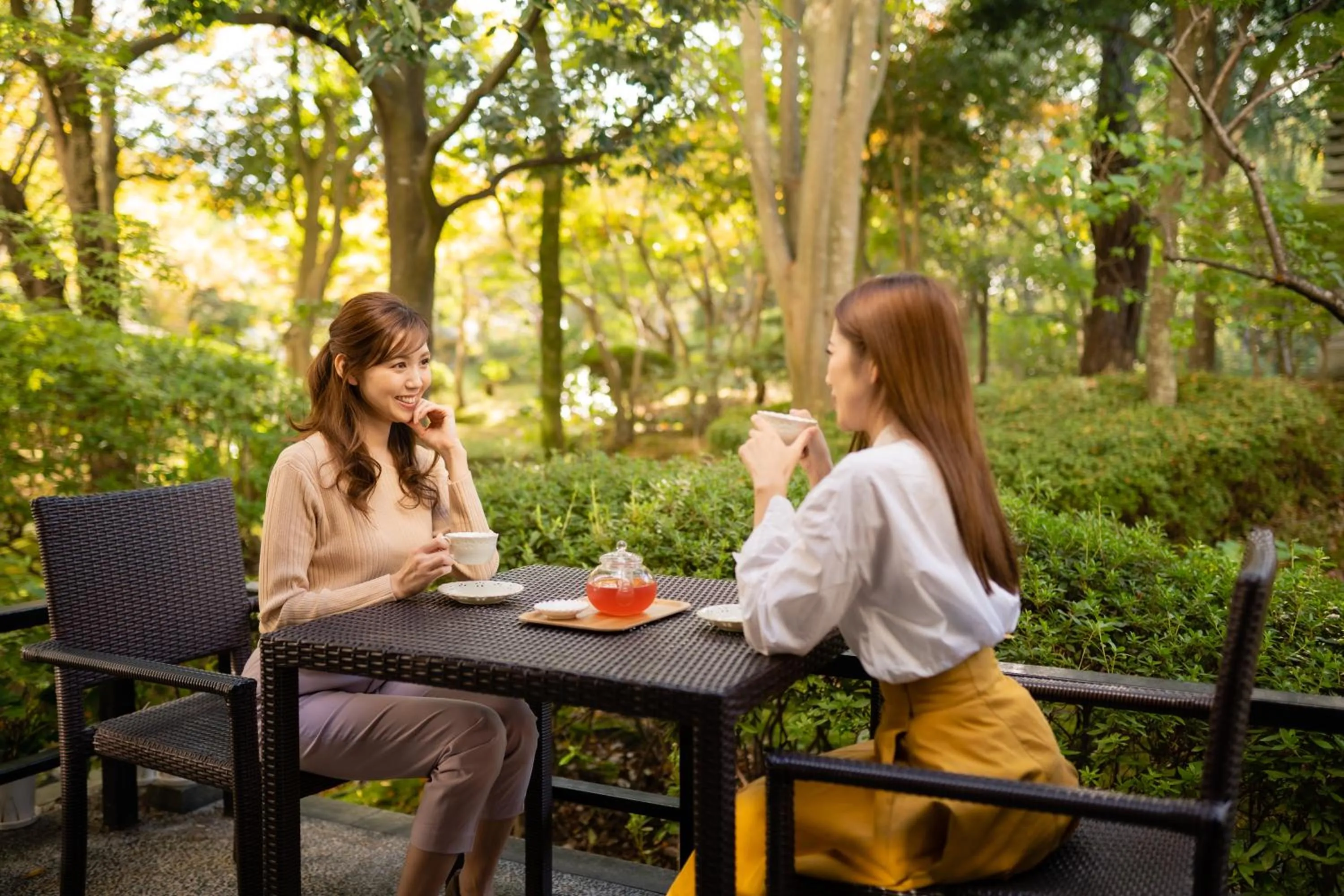 Day in Hotel Hoho "A hotel overlooking the Echigo Plain and the Yahiko mountain range" formerly Hotel Oohashi Yakata-no-Yu