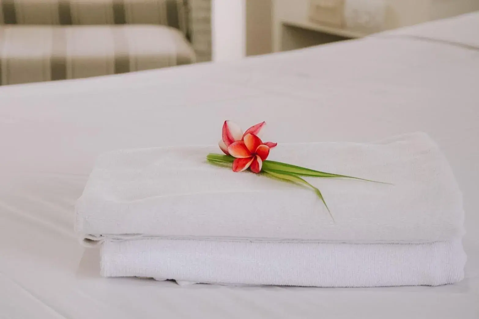 towels, Bed in Rua Rasada Express towels, Bed in Rua Rasada Express