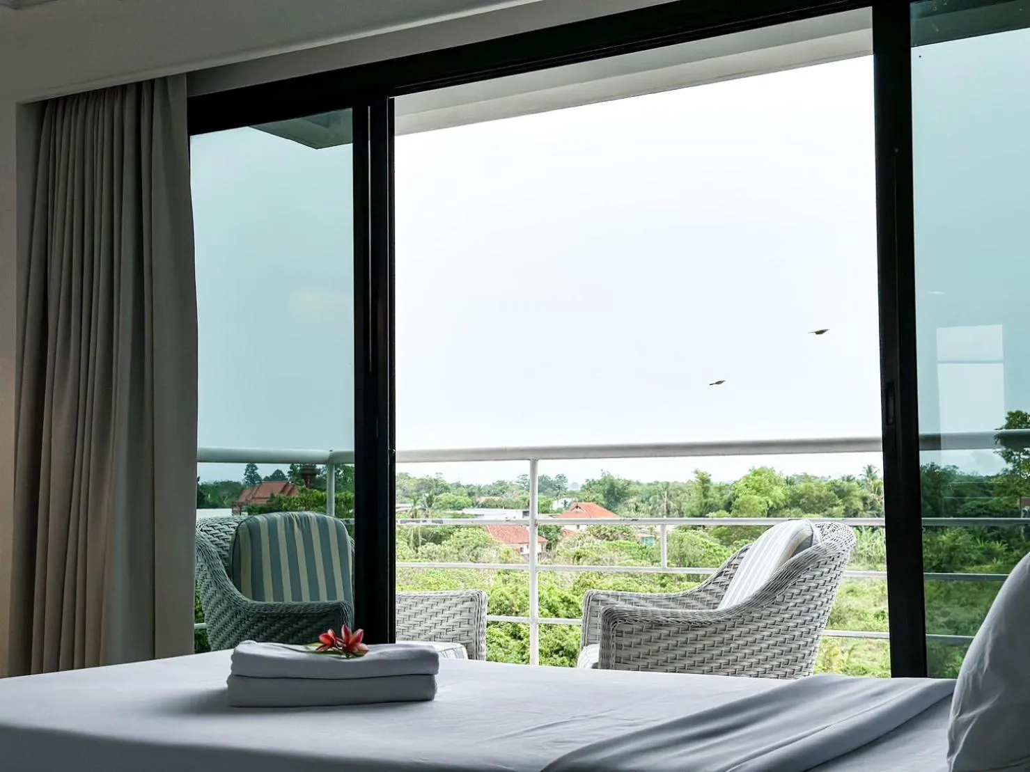 View (from property/room) in Rua Rasada Express