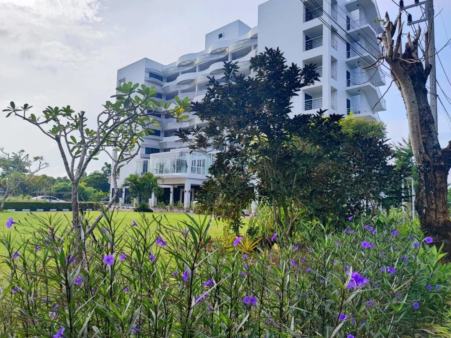 Property building in Rua Rasada Express