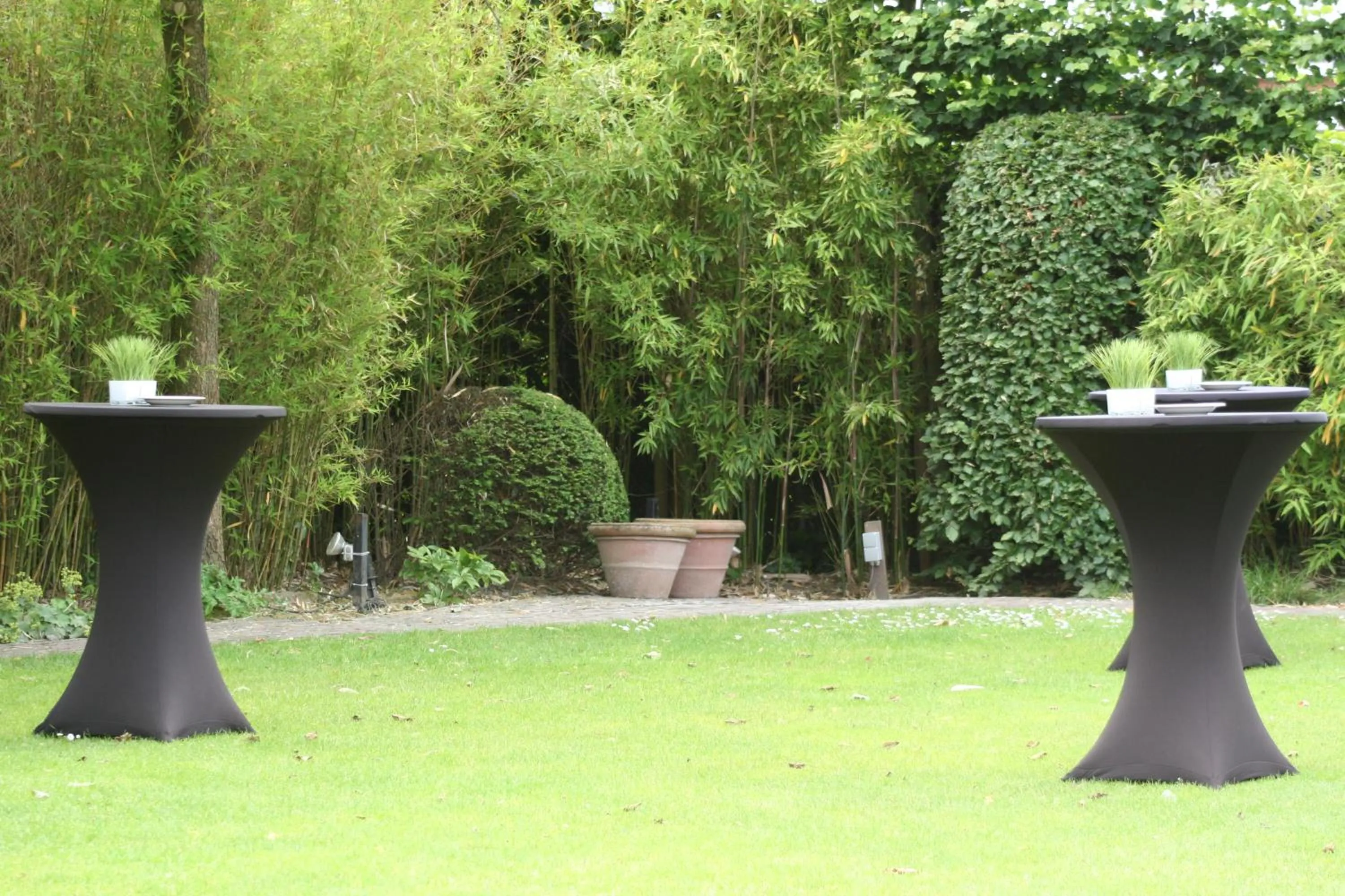 Garden in Hotel Shamrock