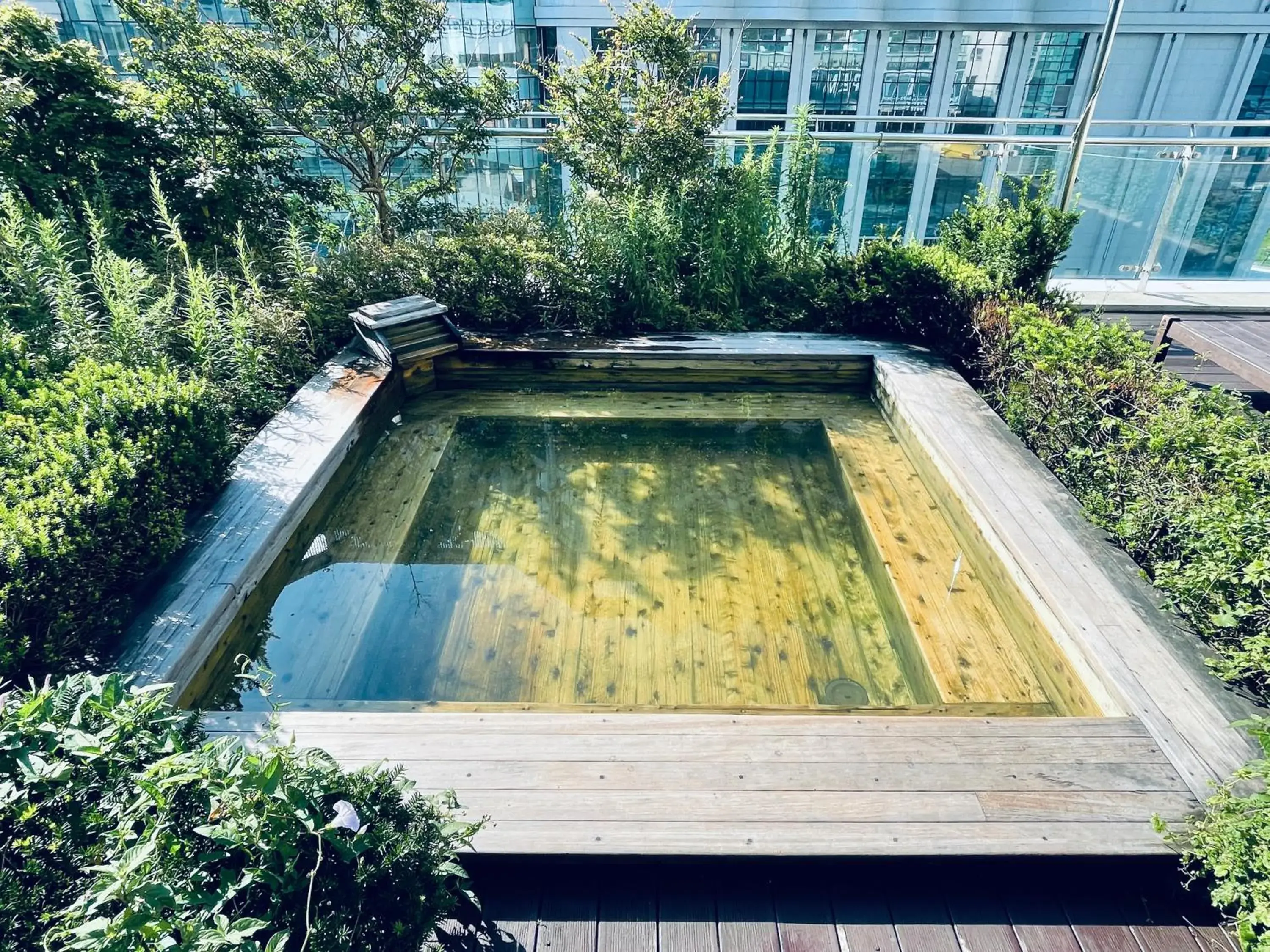Swimming pool in Sun Cloud Hotel Swimming pool in Sun Cloud Hotel
