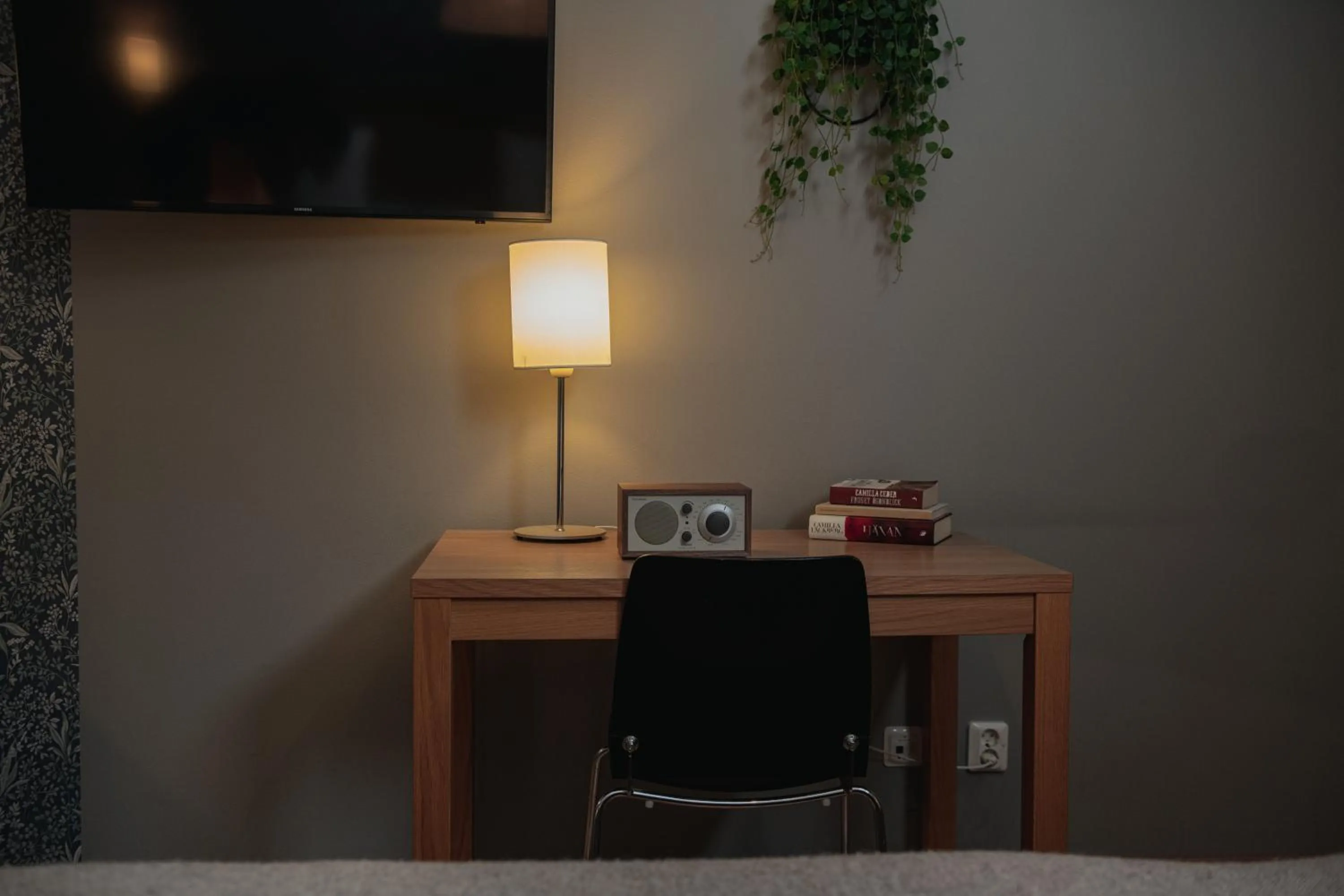 TV and multimedia in Home Hotel Mektagonen